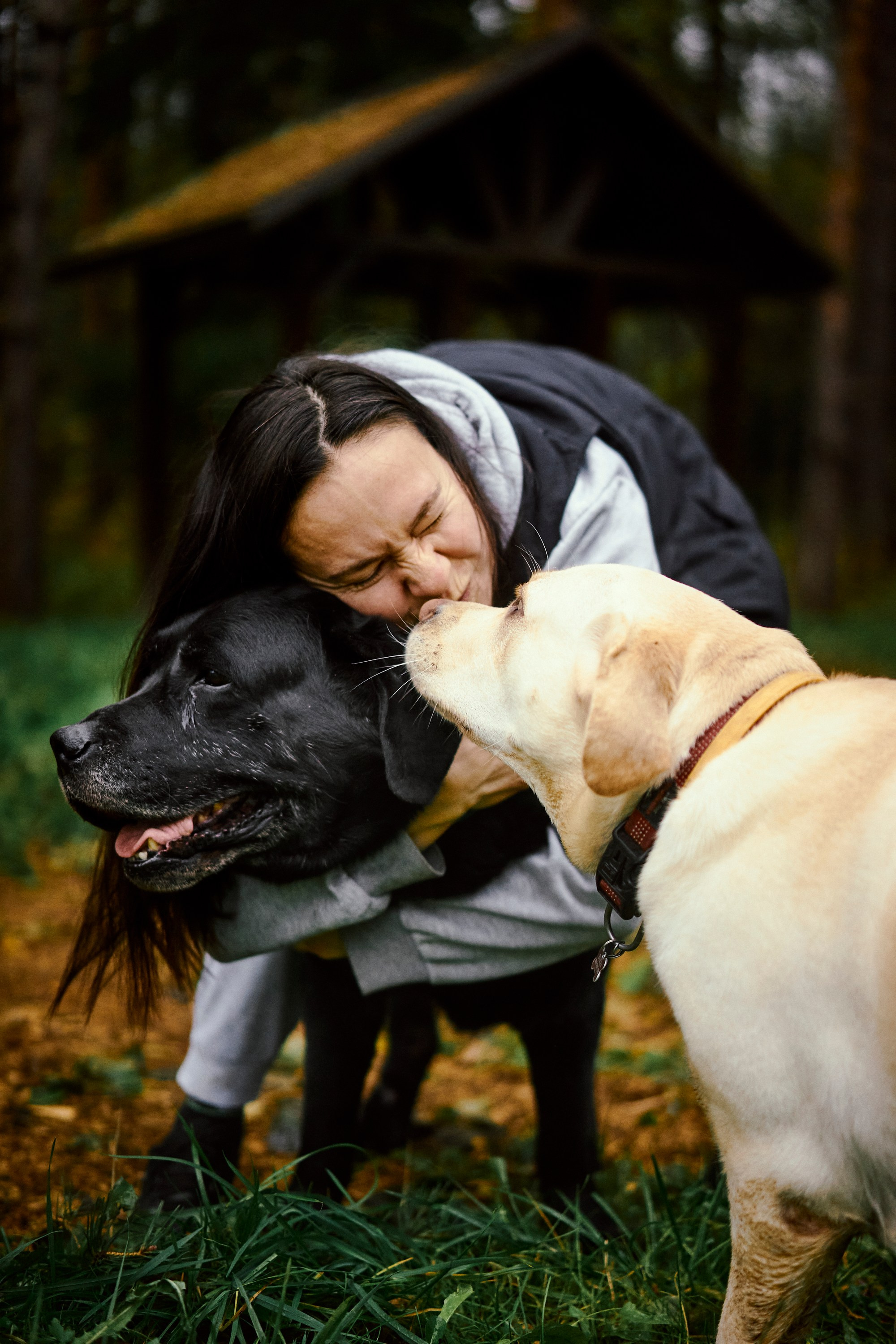 Bell and Black. Vutitsa
