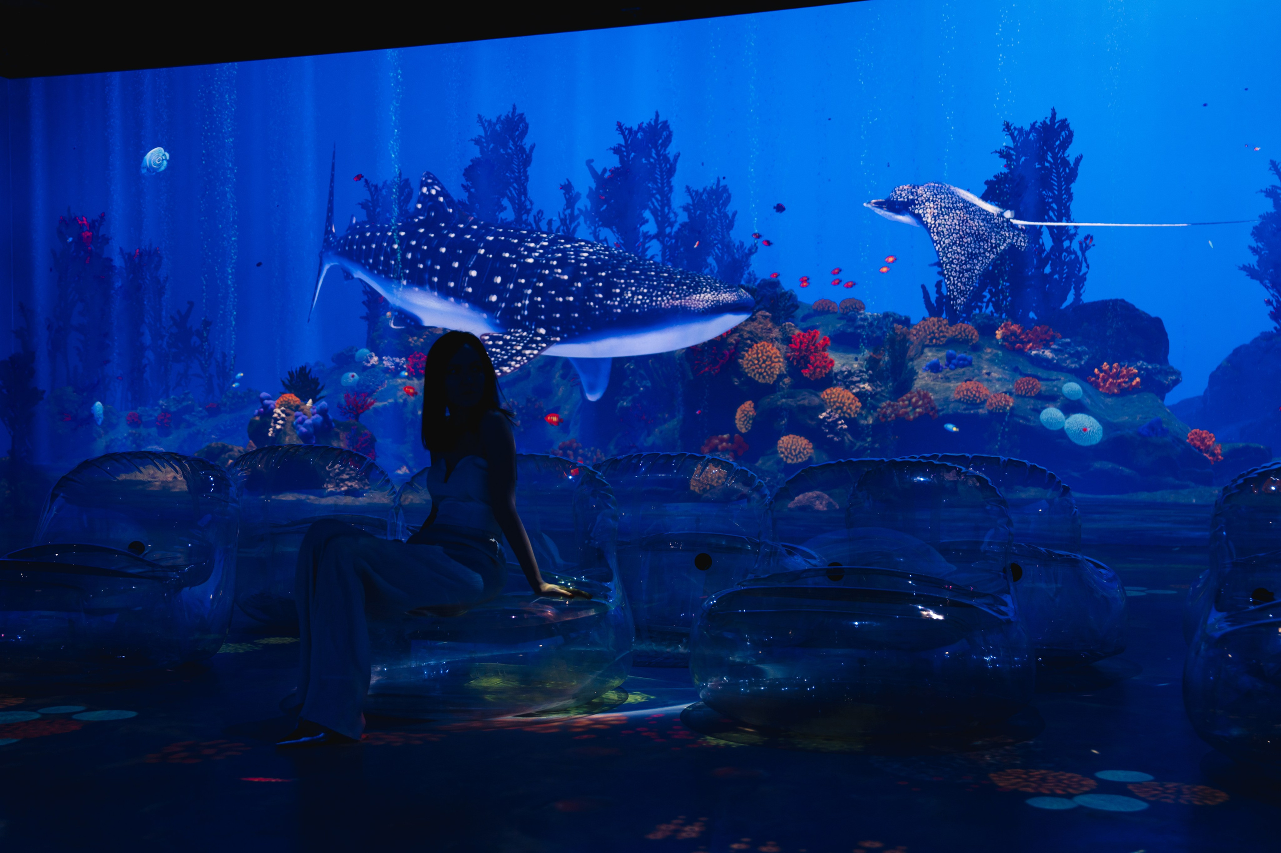 VI Ocean, Tutankhamun, SILA SVETA. @tomrus: Рустам Шагиморданов — фотограф