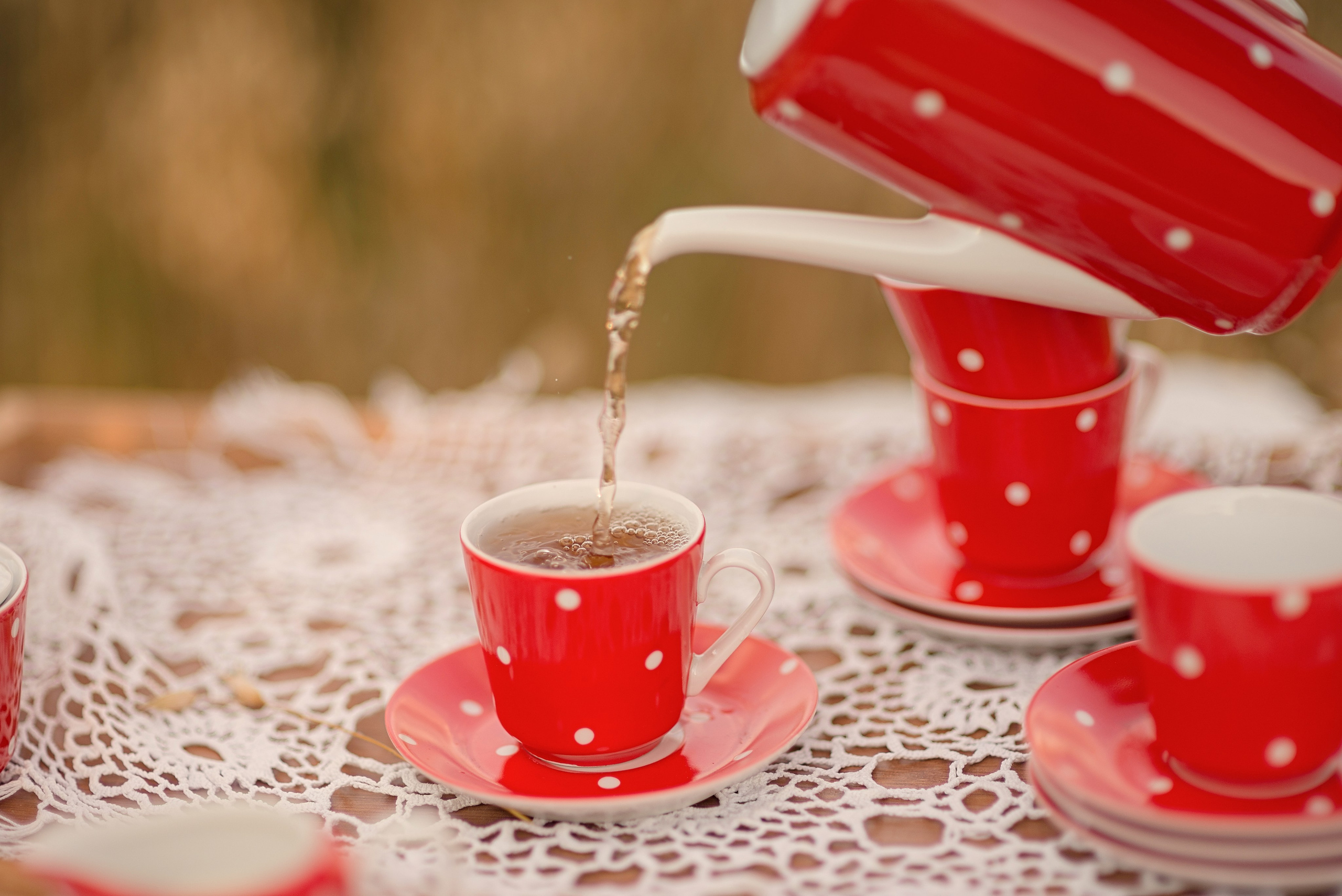 Чаепитие с медведем. Фотограф Москва — Серпухов — Таруса Ольга Кокеткина