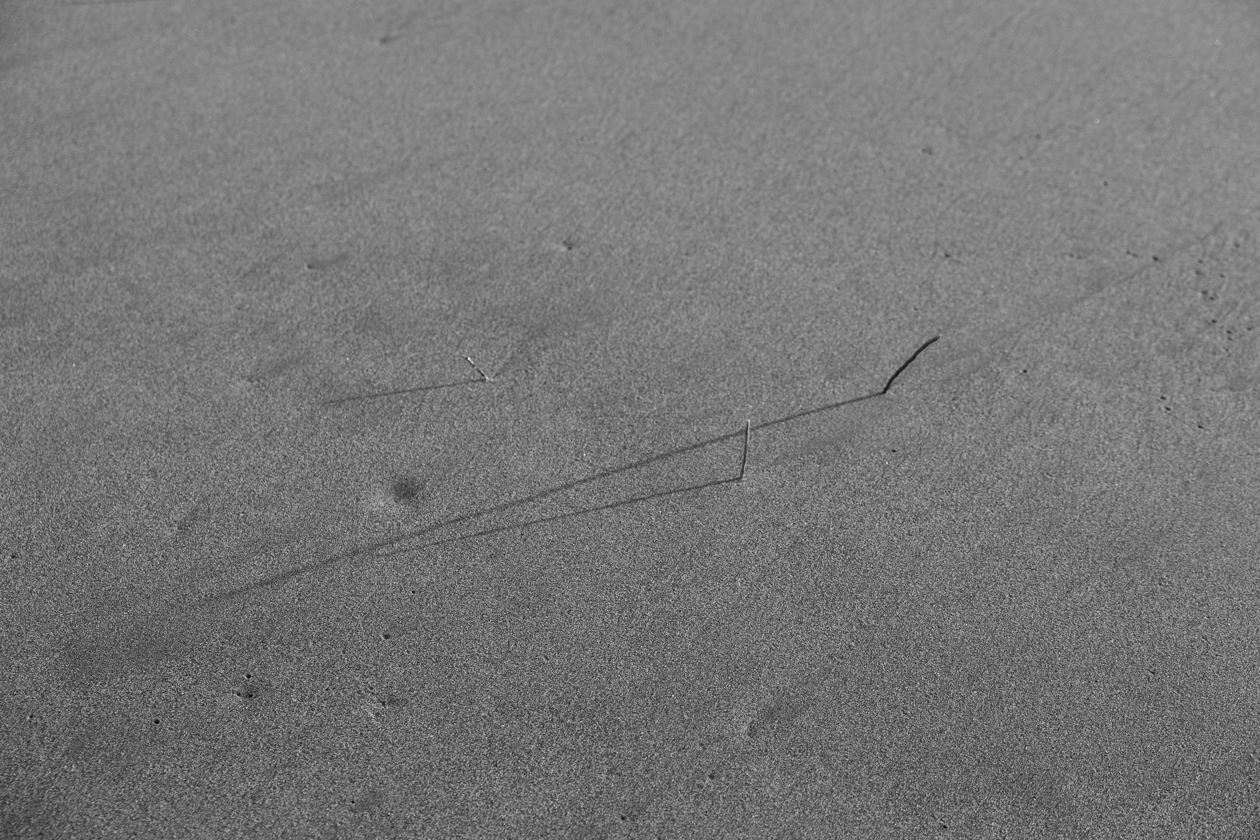 Санаторий для души | Sanatorium for the soul. Фотограф алина стерхова, алина стерхова фотограф, фотограф москва