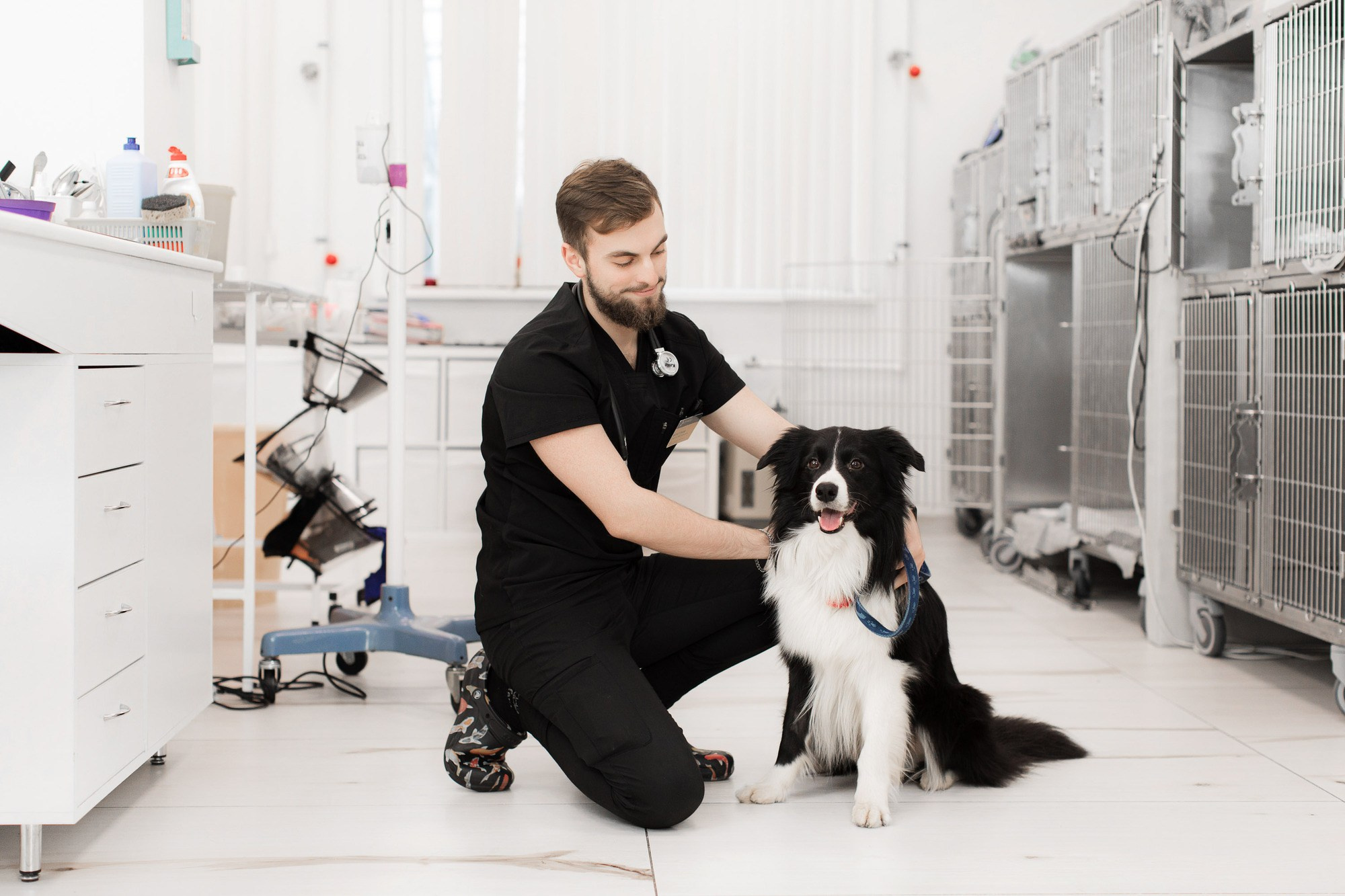 Рекламная фотосессия для ветеринарной клиники "Прайд"