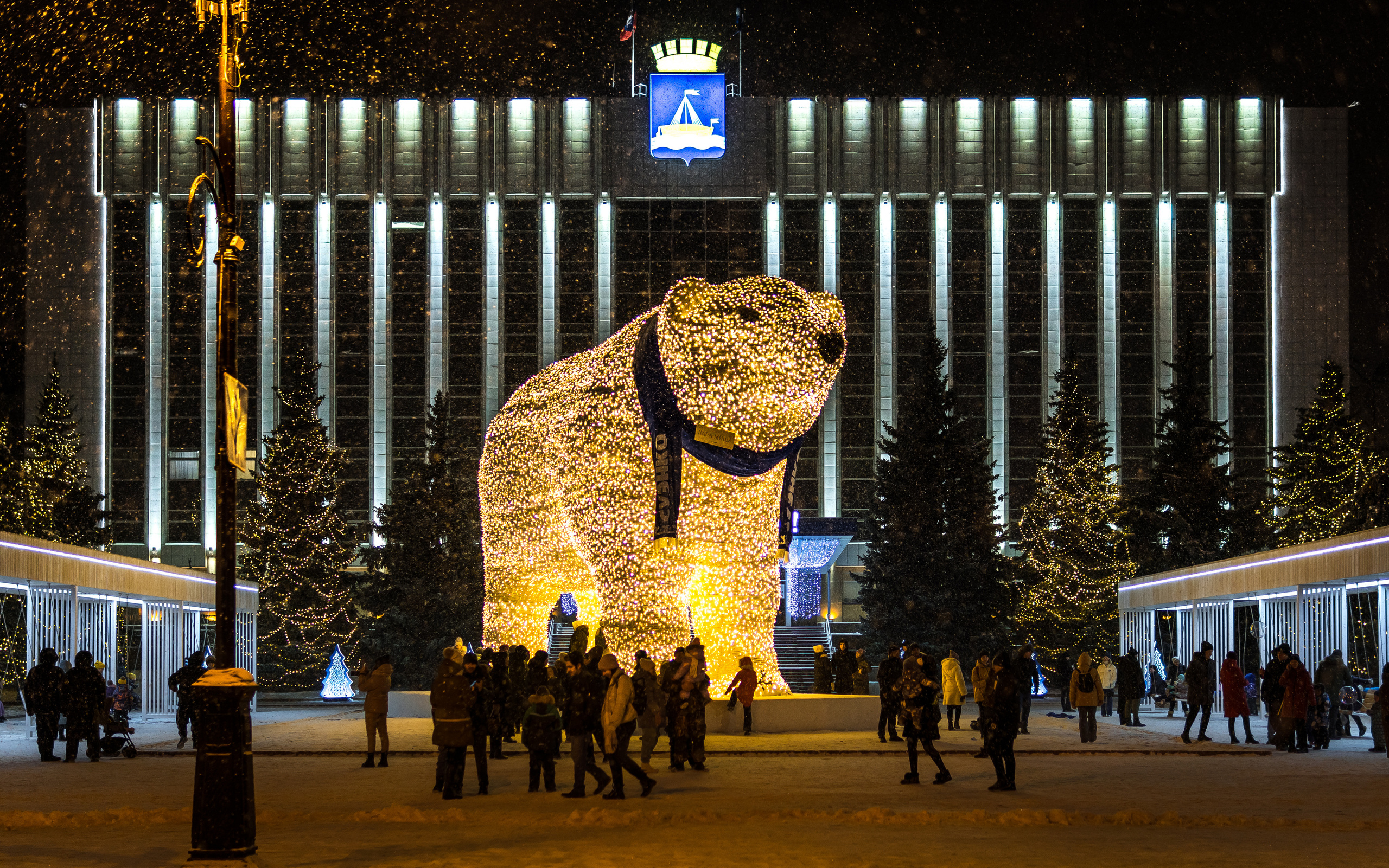 Светящиеся медведи в городе!
