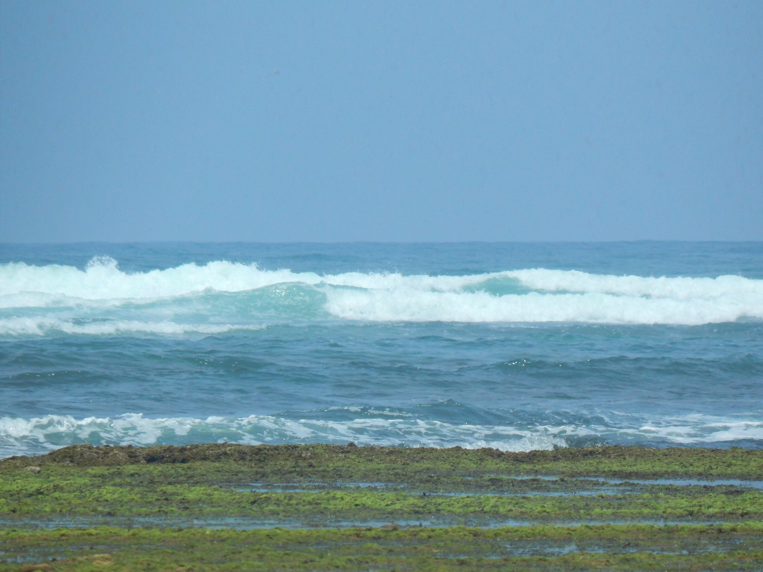 Сайт в процессе разработки