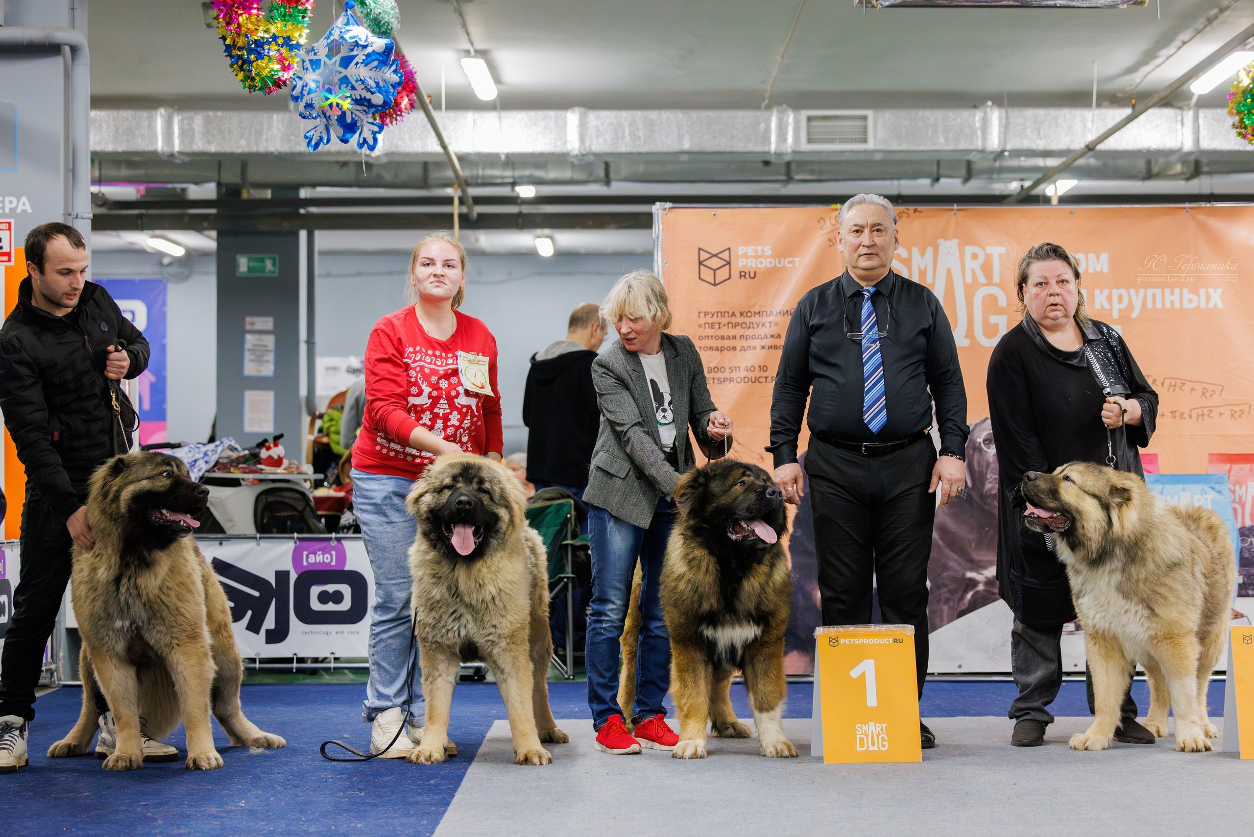 Крокус 21.12.2024,Сфера 29.12.2024. Фотограф-анималист Юлия Германика