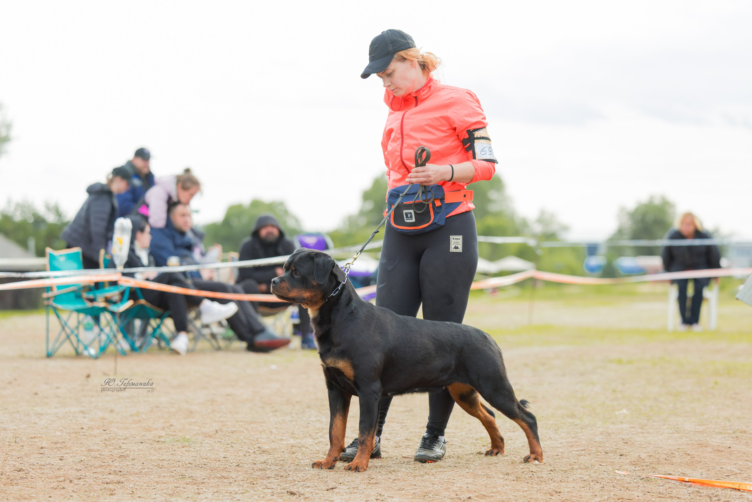 Тверь ротвейлеры 5-6.07.2025. Фотограф-анималист Юлия Германика