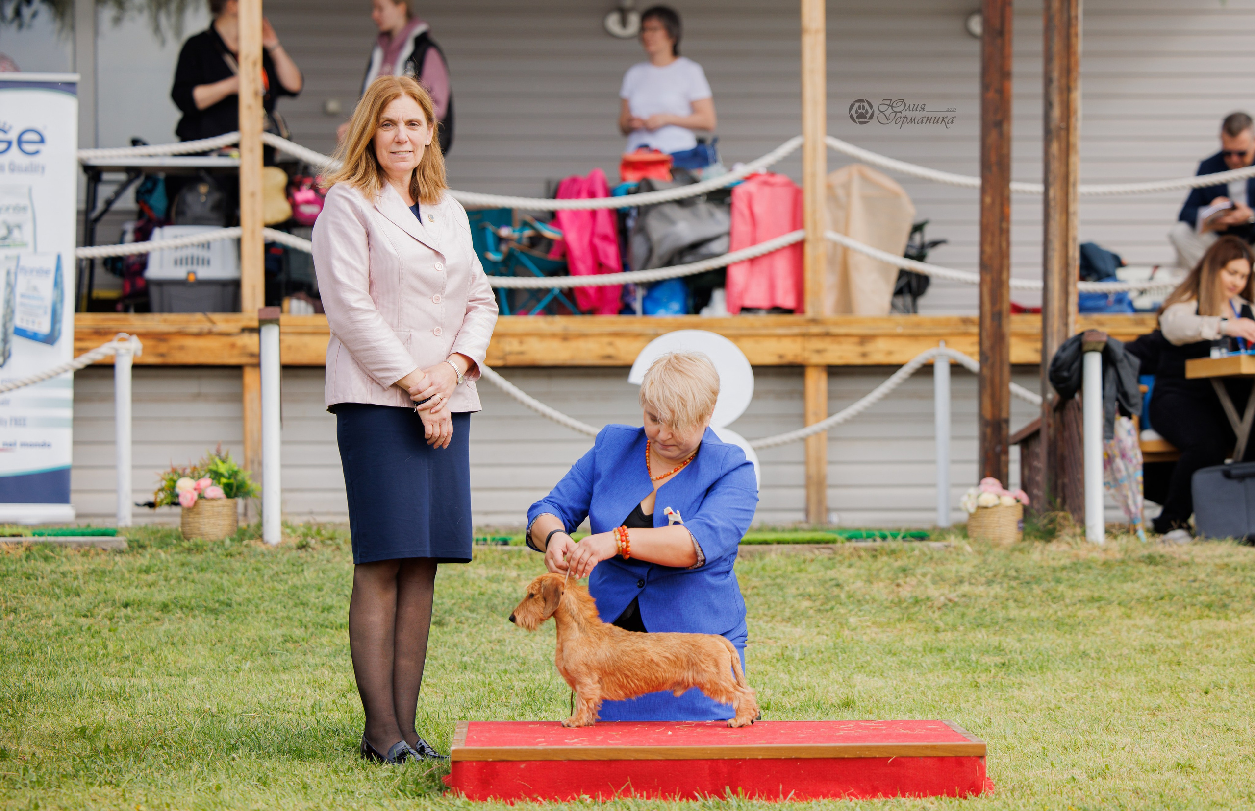 Армения,Ереван 3хCACIB 15-17.10.2024. Фотограф-анималист Юлия Германика