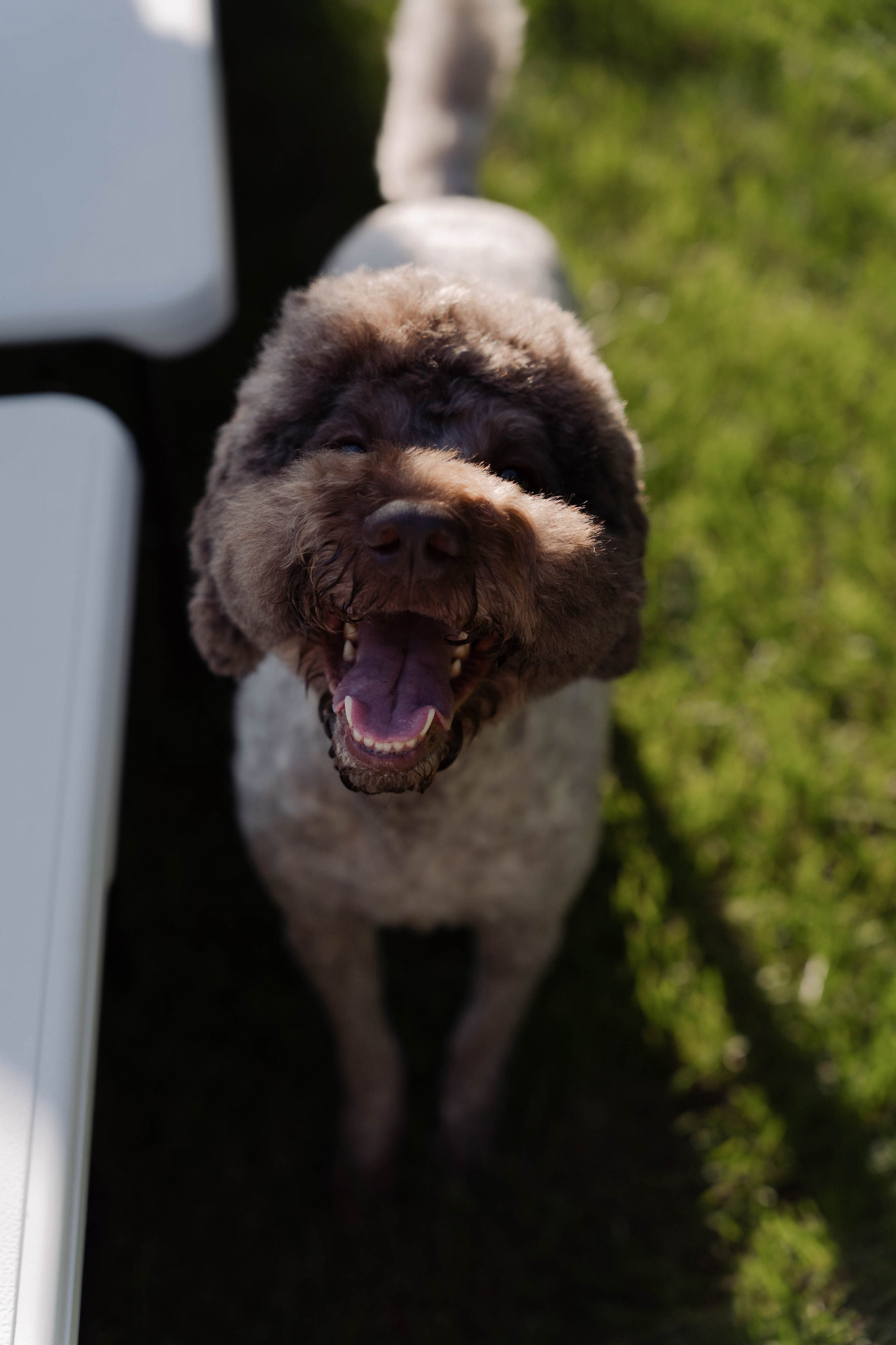 День рождения Марии. ФОТОГРАФ КСЕНИЯ СОСНОВСКАЯ