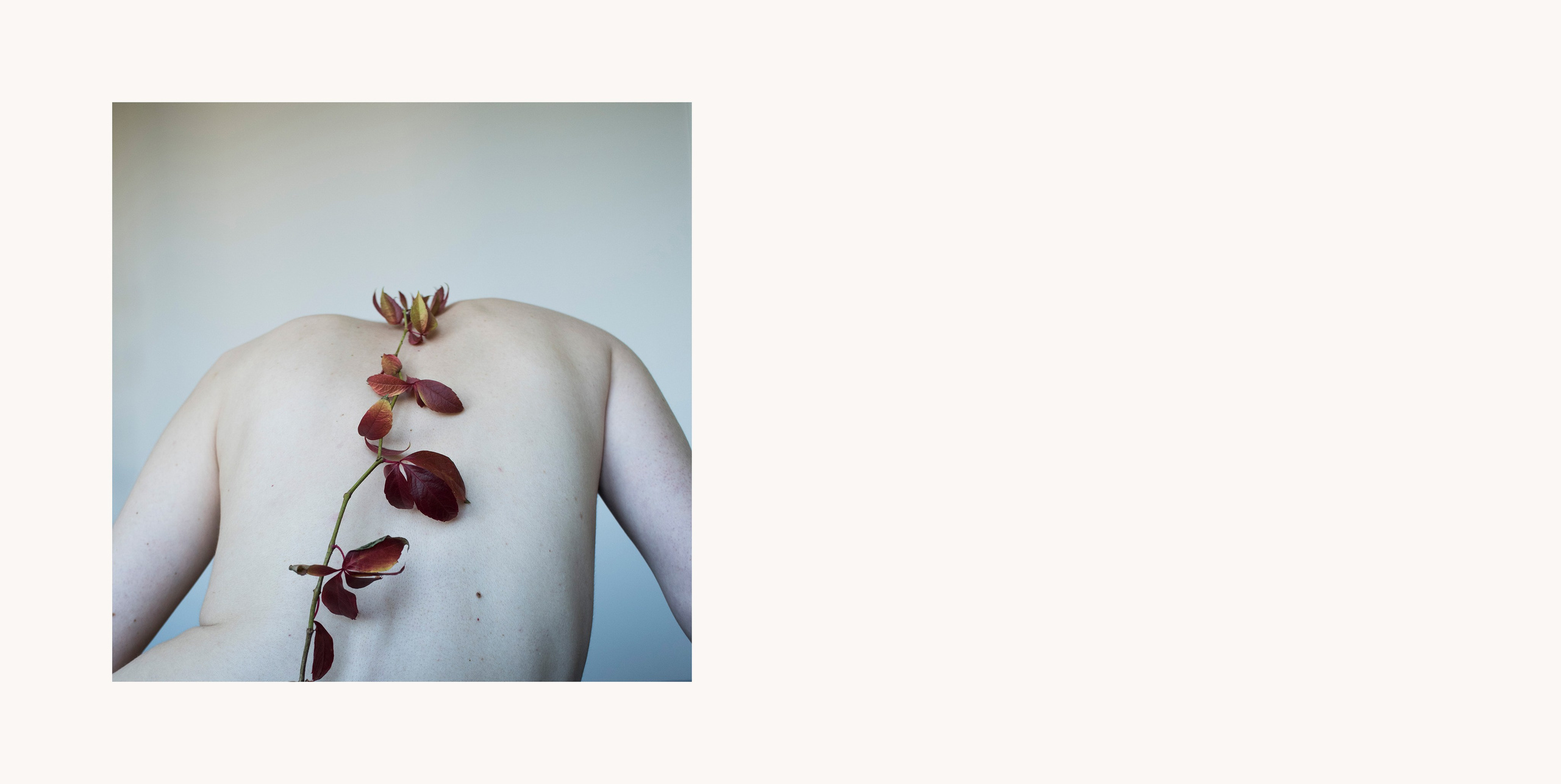 Нелли Счасная | Демонтаж. Private image