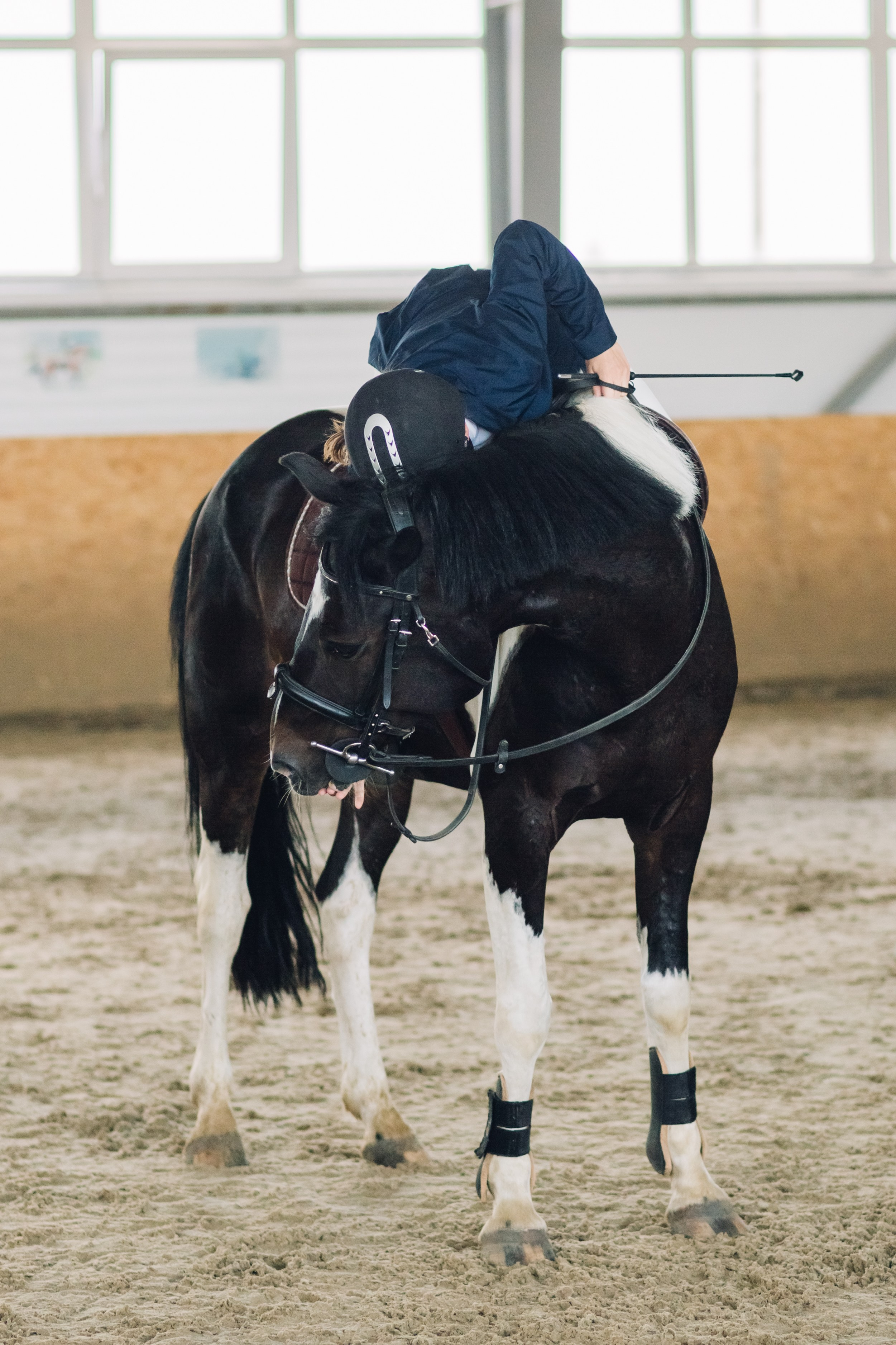 Соревнования. Ольга Белова. Портреты с лошадьми. Конная фотография