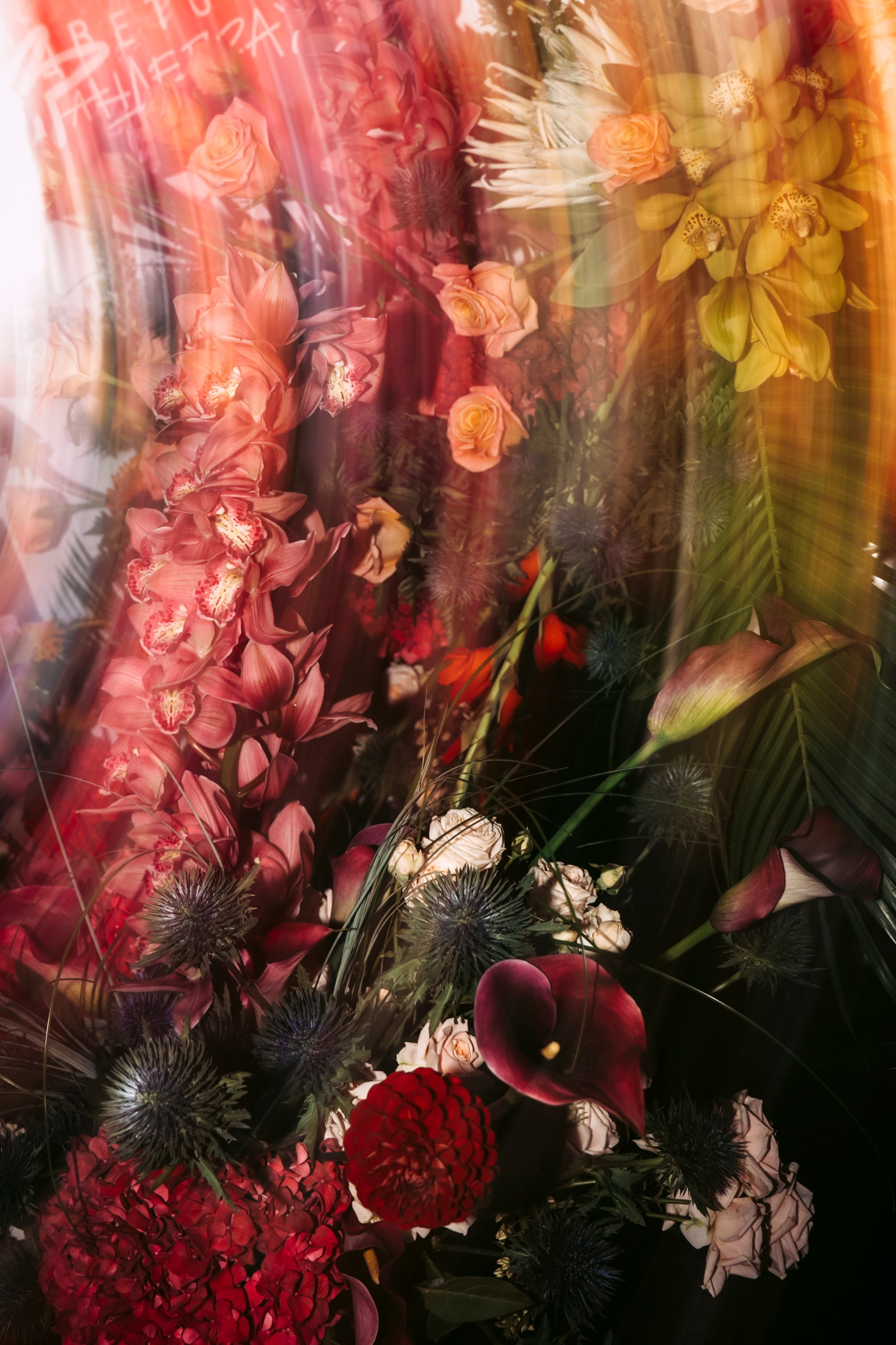 Цветочный андеграунд. Главная