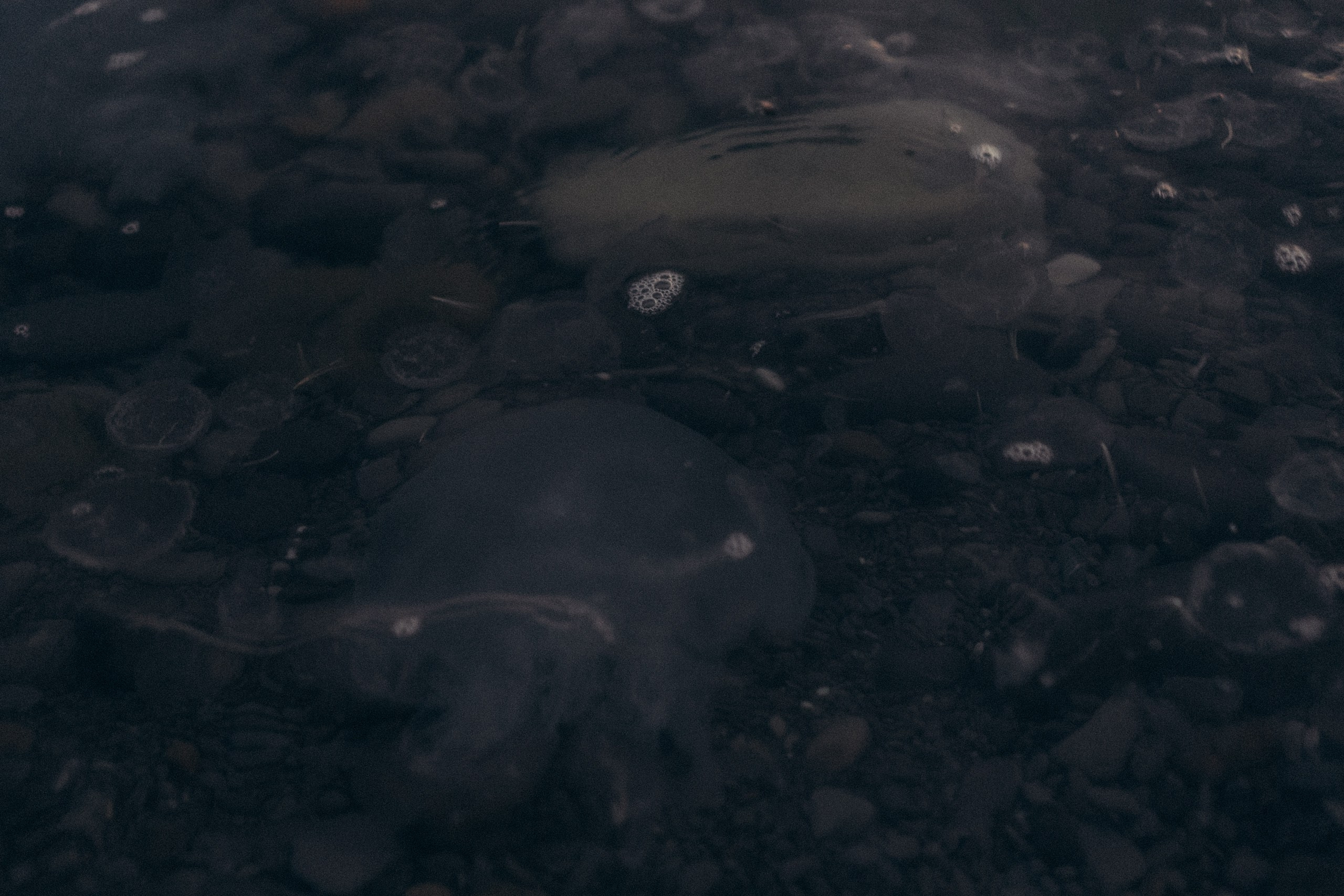 Вечерняя прогулка по Анапе. Профессиональный фотограф, Санкт-Петербург — Виктория Богомолова