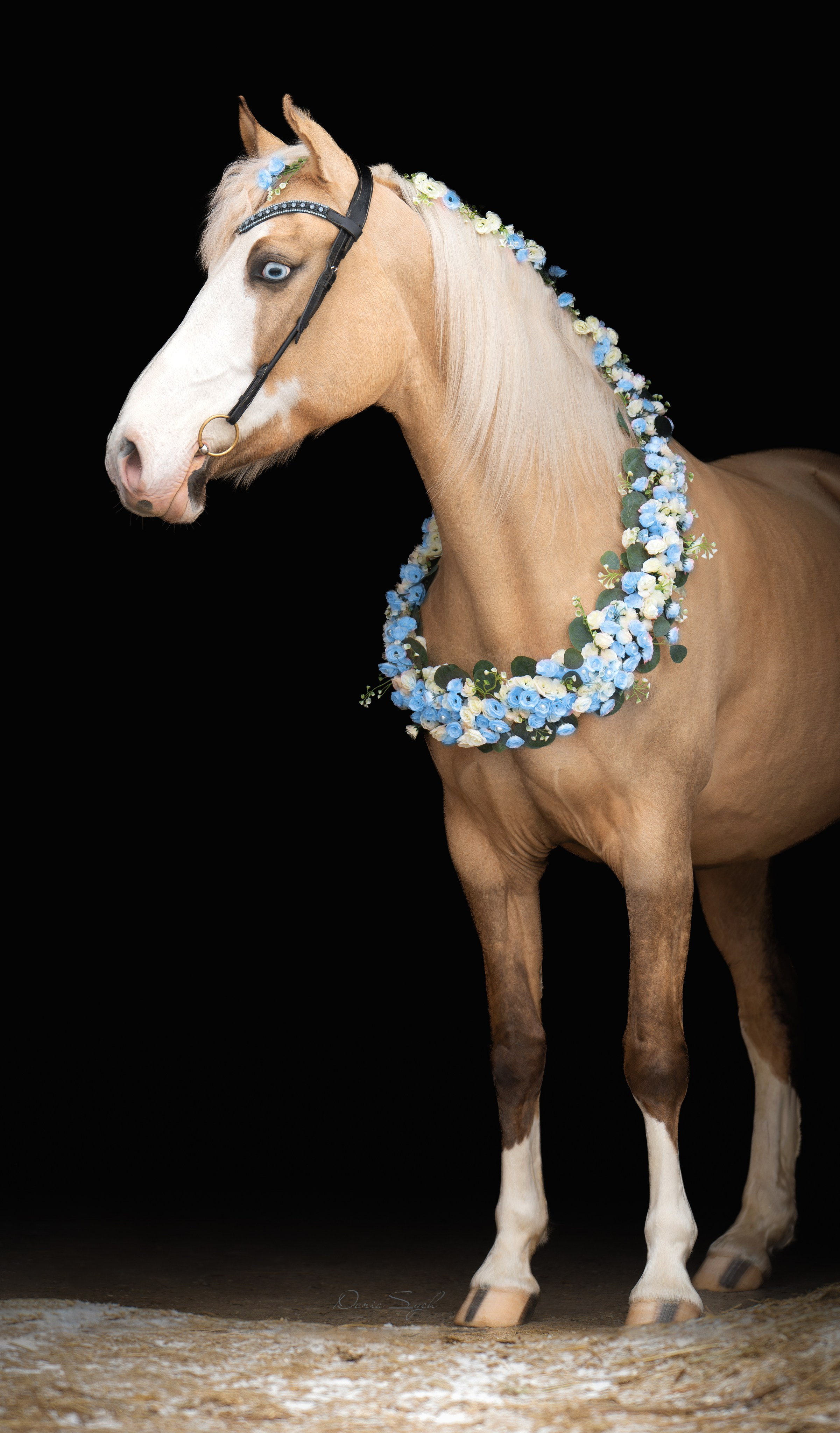 Весенний фото день. Фотограф Дарья Соколовская