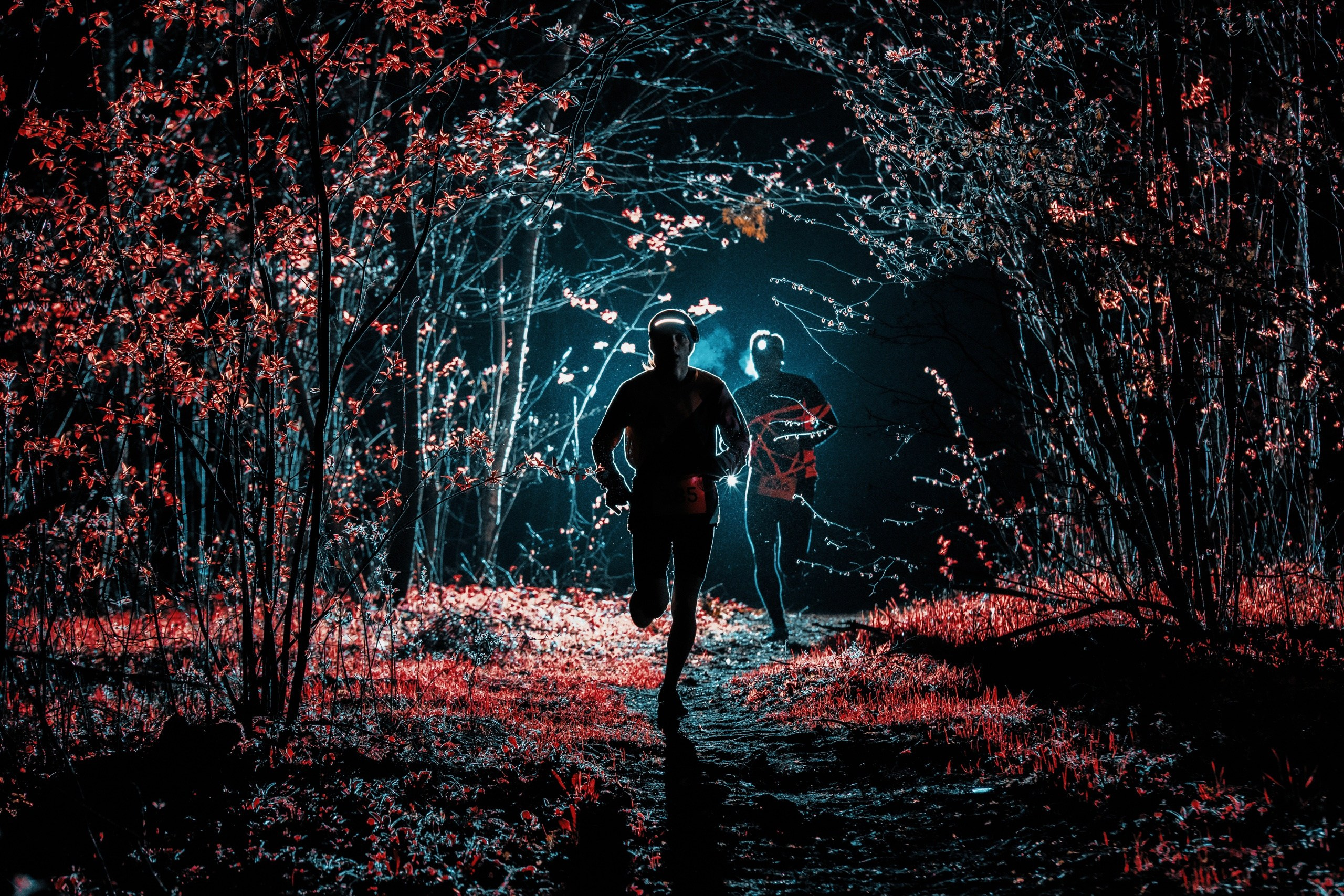 Трейлраннинг. Спортивный фотограф Тремпольцева Анна