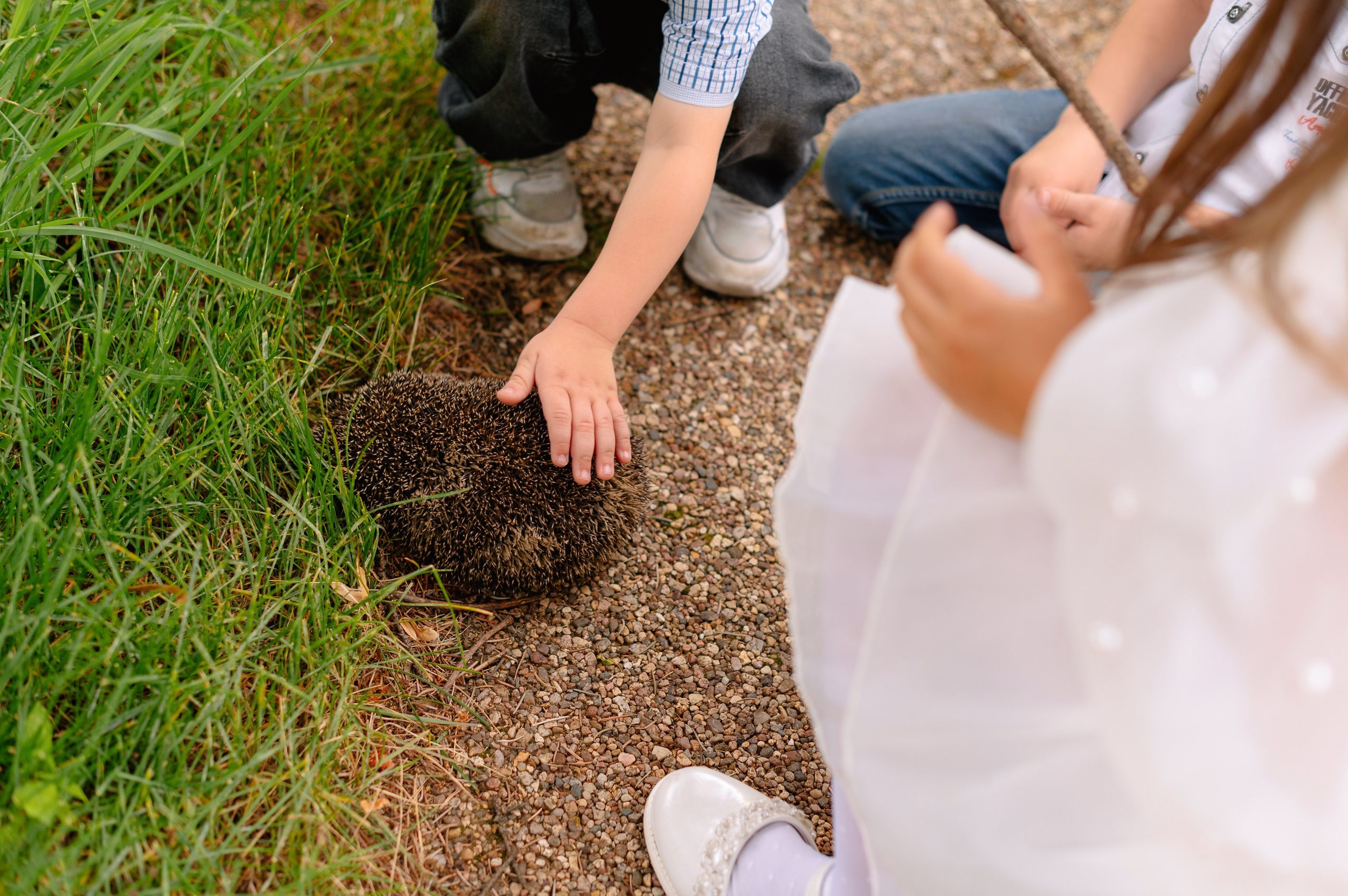 ТИНА и МИША. Шашкова Вероника / Свадебный и семейный фотограф Москва и Ярославль