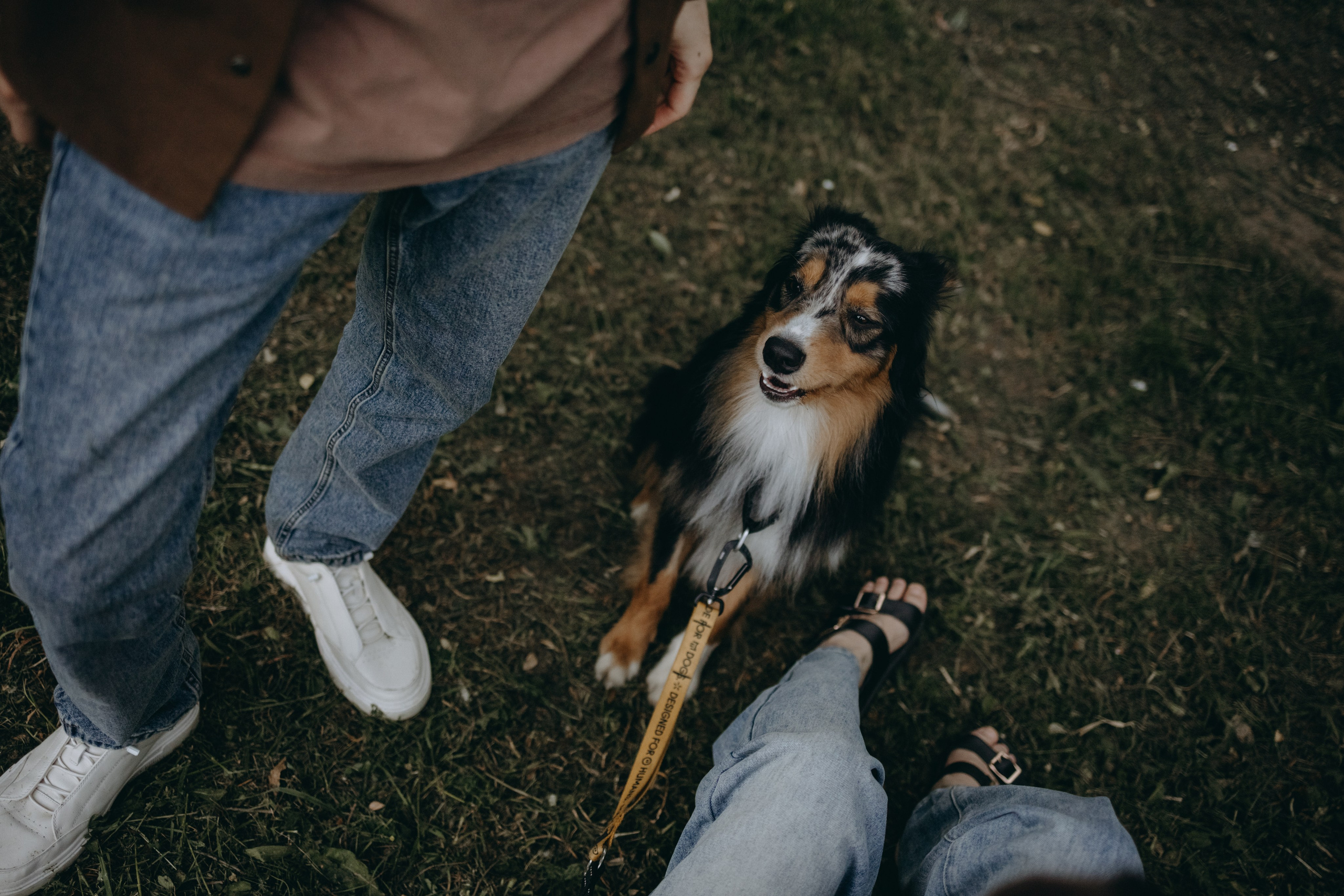 Настя, Никита и их Гром и Мяу. Фотограф — Анималист | Санкт-Петербург