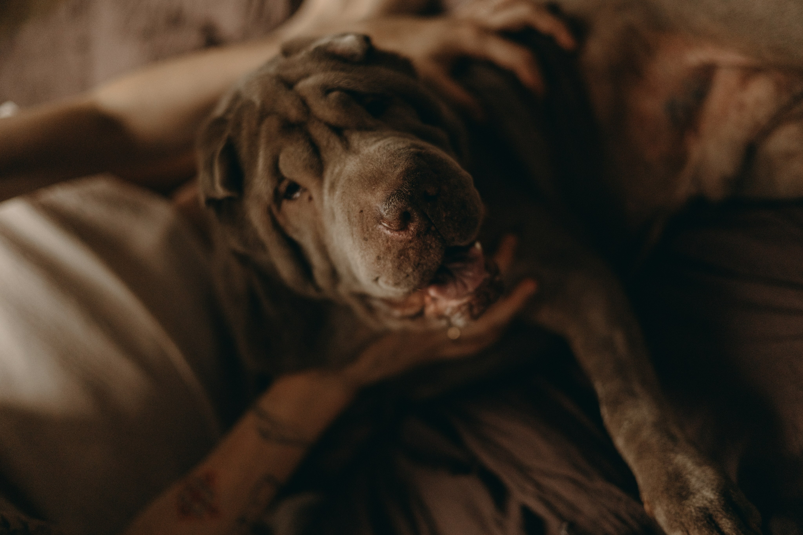 Ульяна и Вагнер. Фотограф — Анималист | Санкт-Петербург