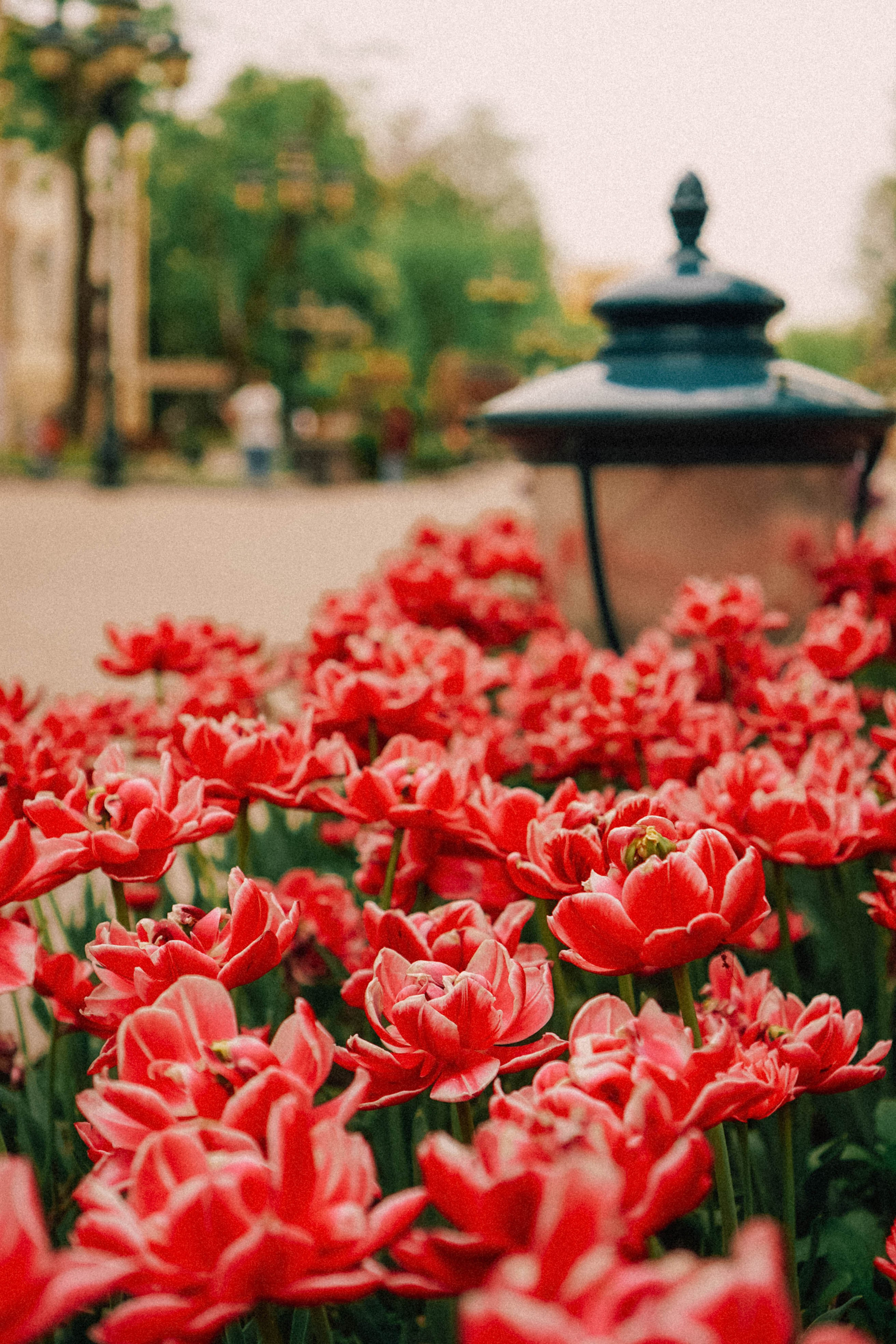 КИСЛОВОДСК. Профессиональный фотограф, Санкт-Петербург — Виктория Богомолова