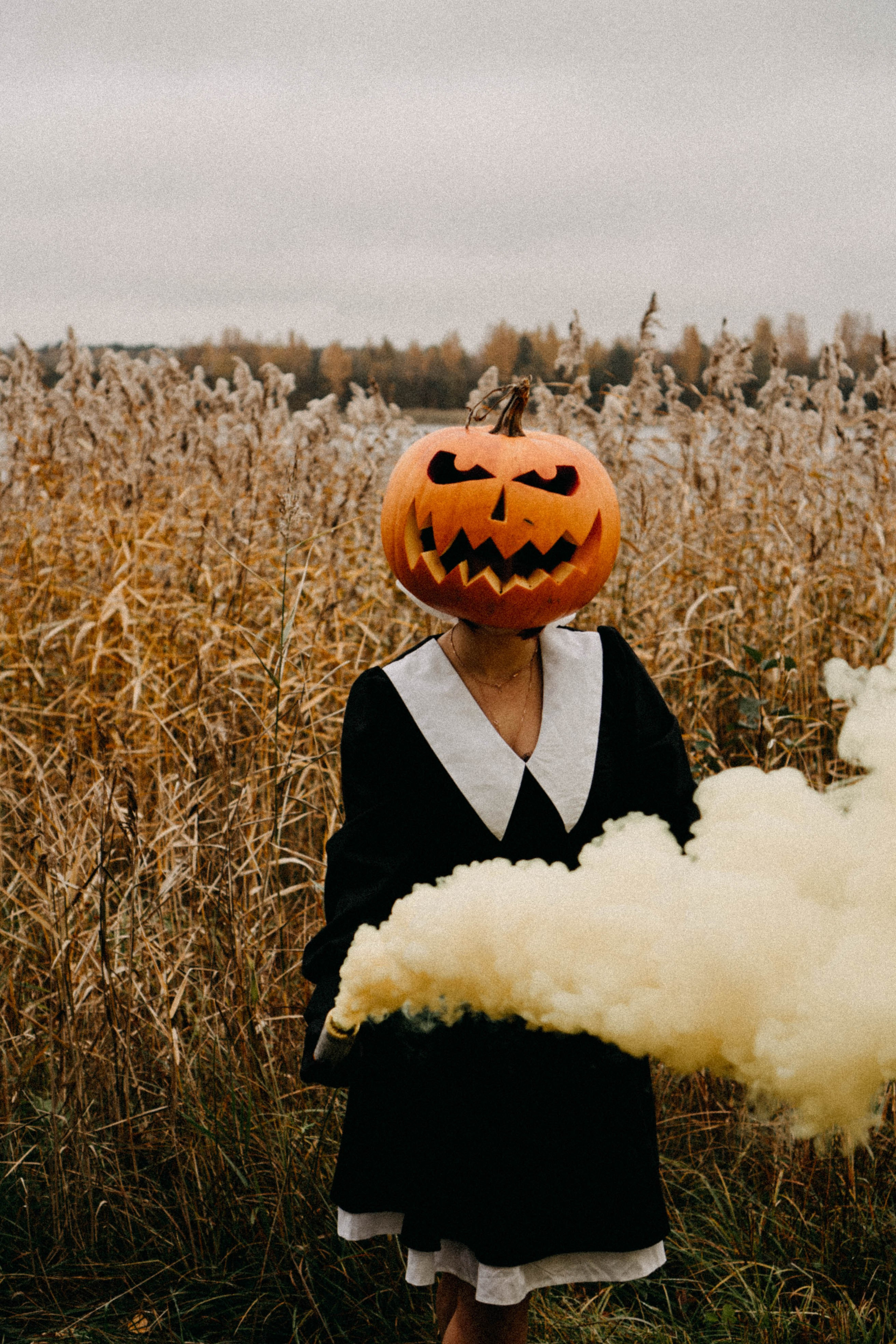 Осеняя. Профессиональный фотограф, Санкт-Петербург — Виктория Богомолова