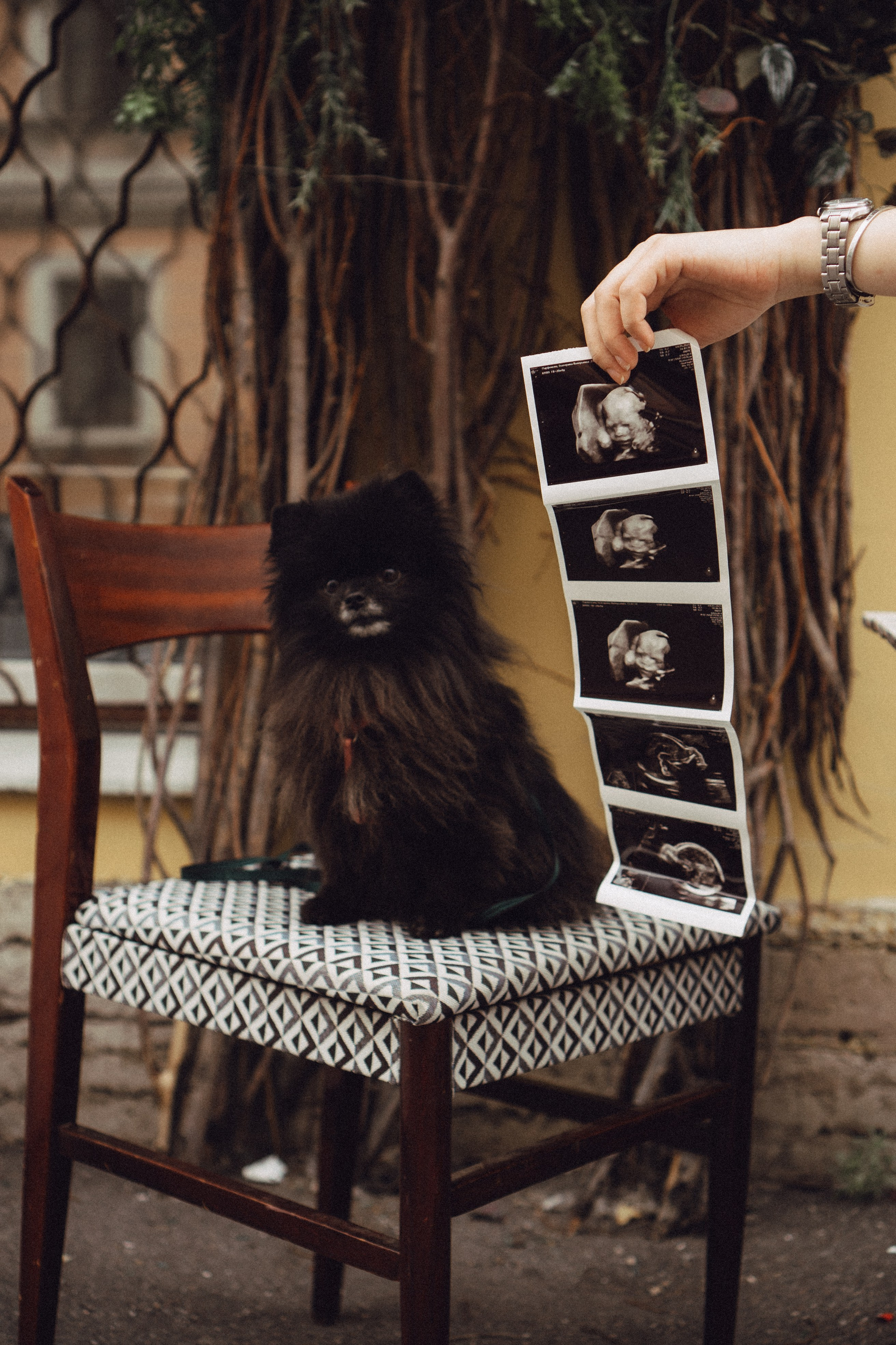 Беременность (только часть фото по желанию клиентов могу показать)). Профессиональный фотограф, Санкт-Петербург — Виктория Богомолова