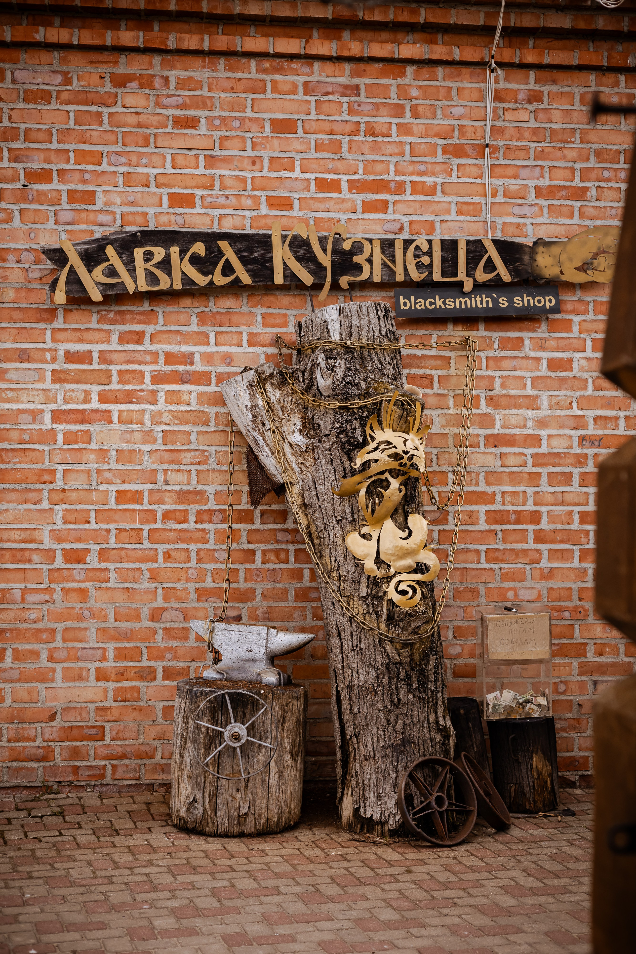 Фотосъемка собак, щенков, на выставках, фотограф анималист Россия воронеж. Питомник собак Акита, Хаски, Корги