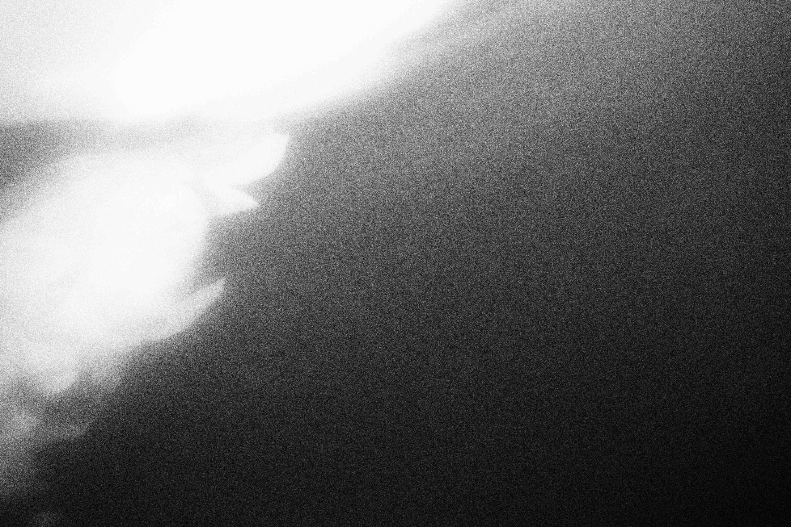 «Видеть. Чувствовать. Сохранять»