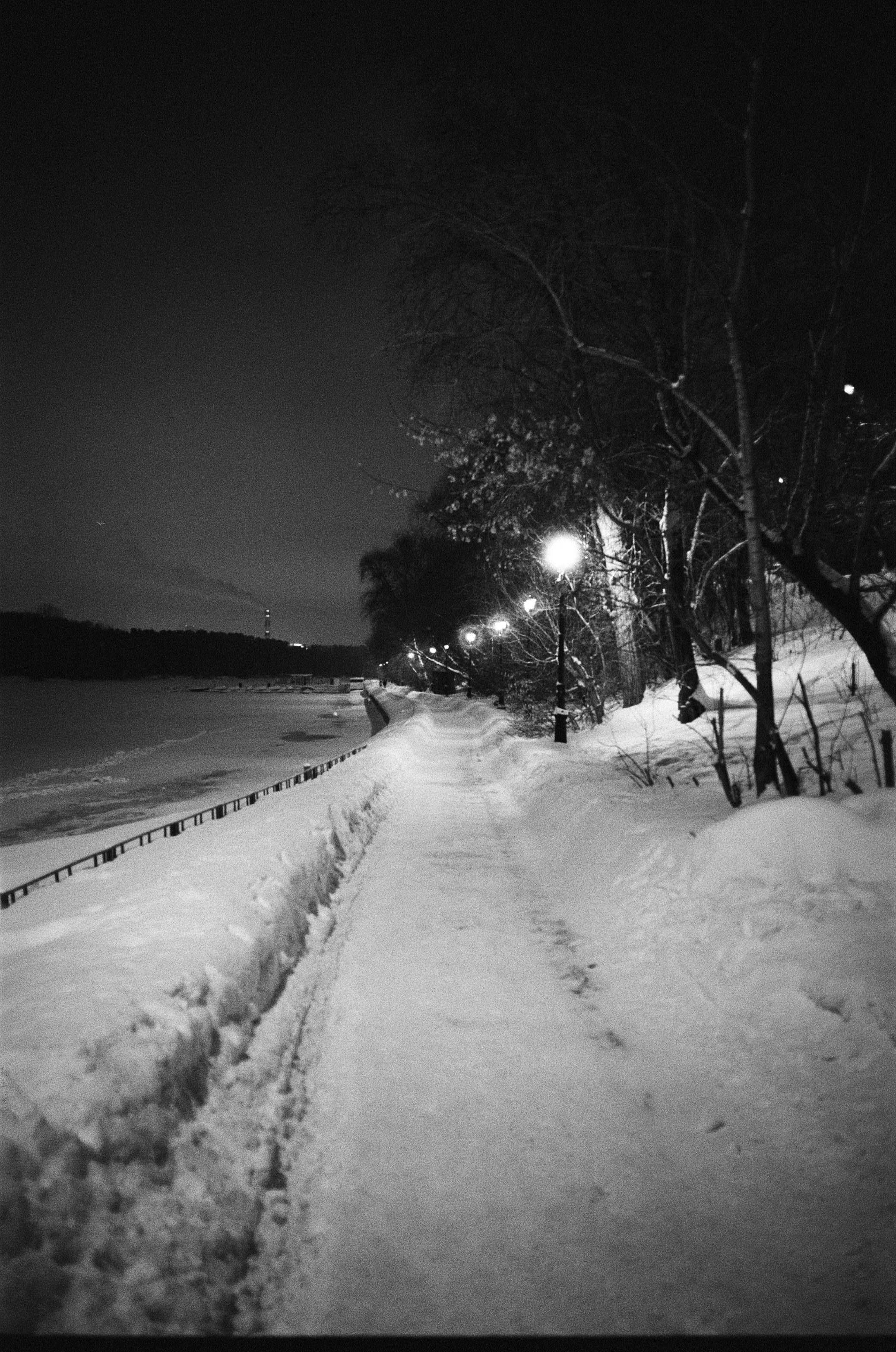 Voigtlander BESSA-T / Ultron 28 mm f/2 / Ilford PAN 400