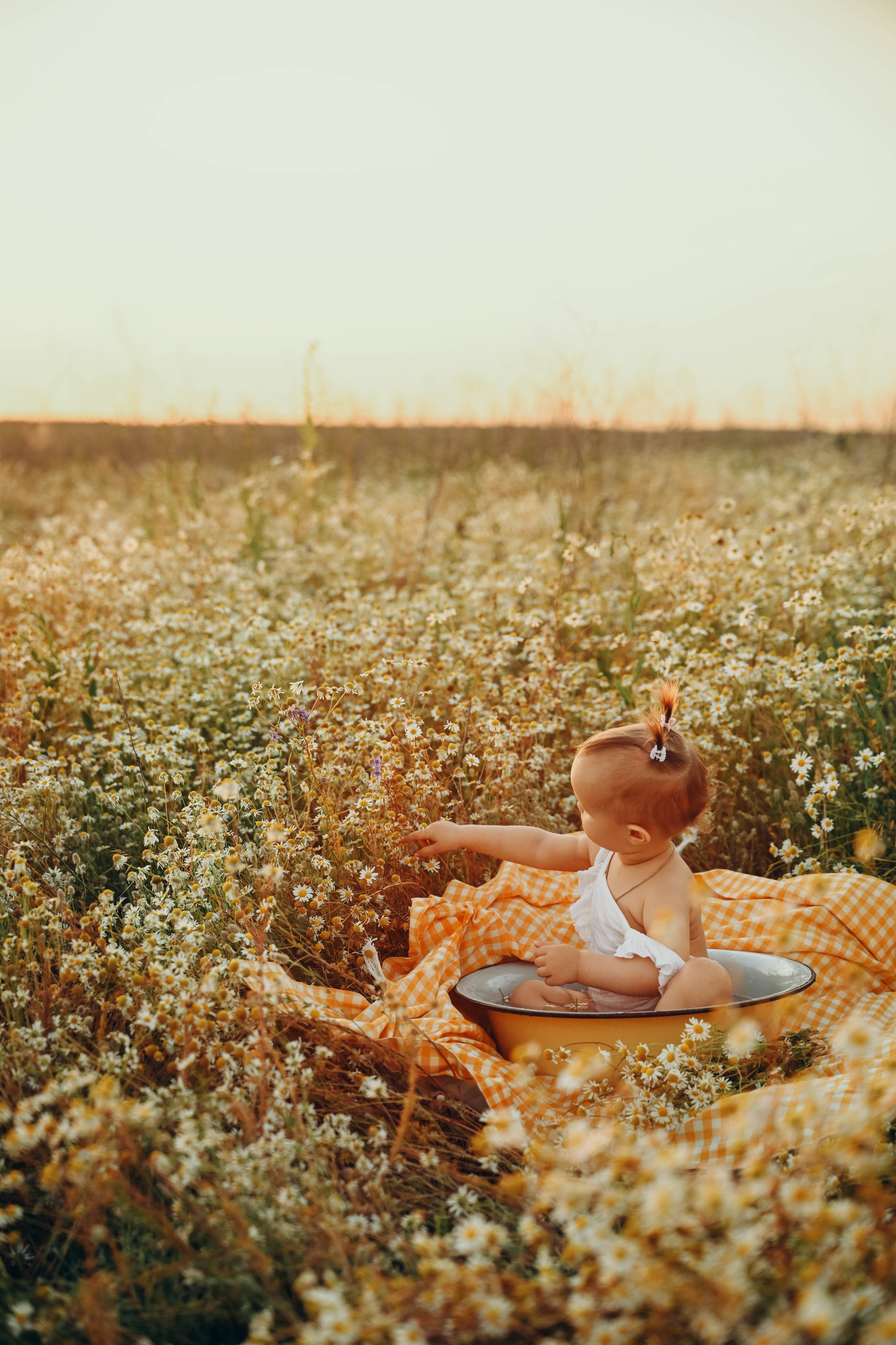 Ромашковое поле. Семейный фотограф в Москве Люберцах Ирина Вронская