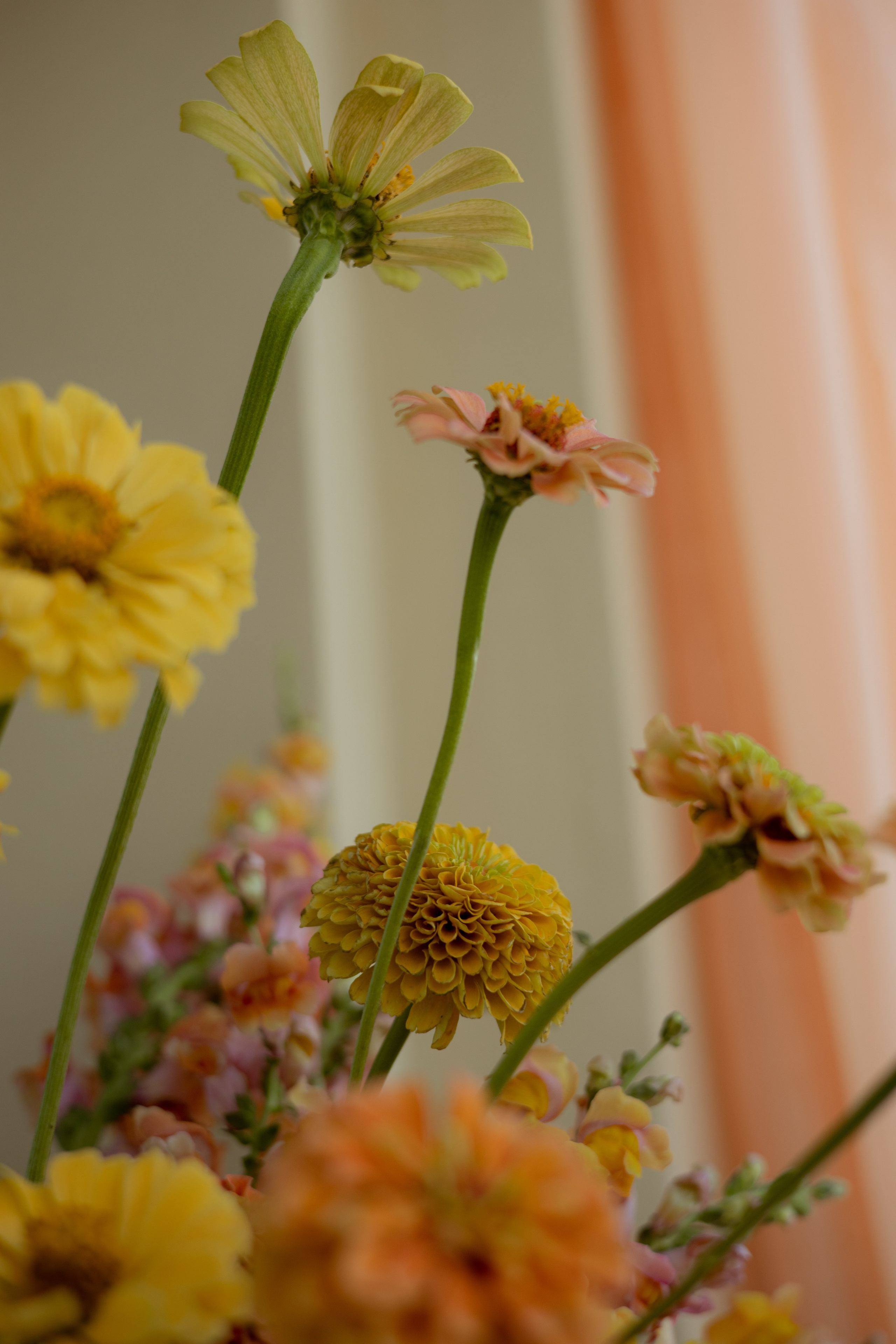 ДР Дианы. Пекин. Оформление свадеб, декор свадеб Вера Маркова, Москва