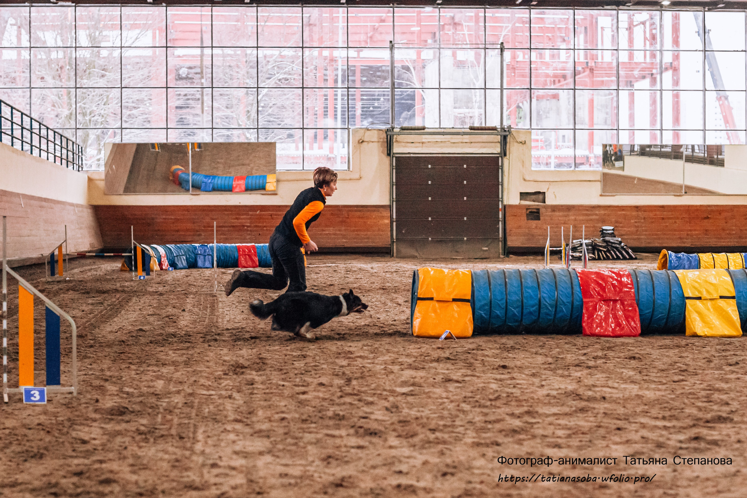 Соревнования по Аджилити 25.02.2024. Фотограф-анималист Татьяна Степанова