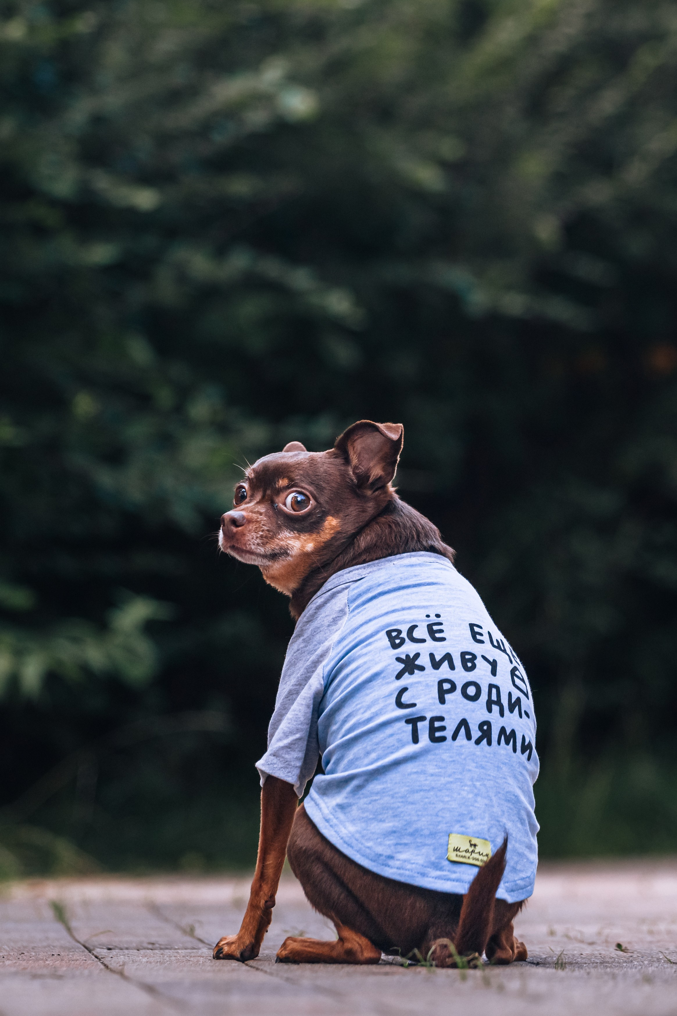 Восточный мост. Фотограф-анималист Татьяна Степанова