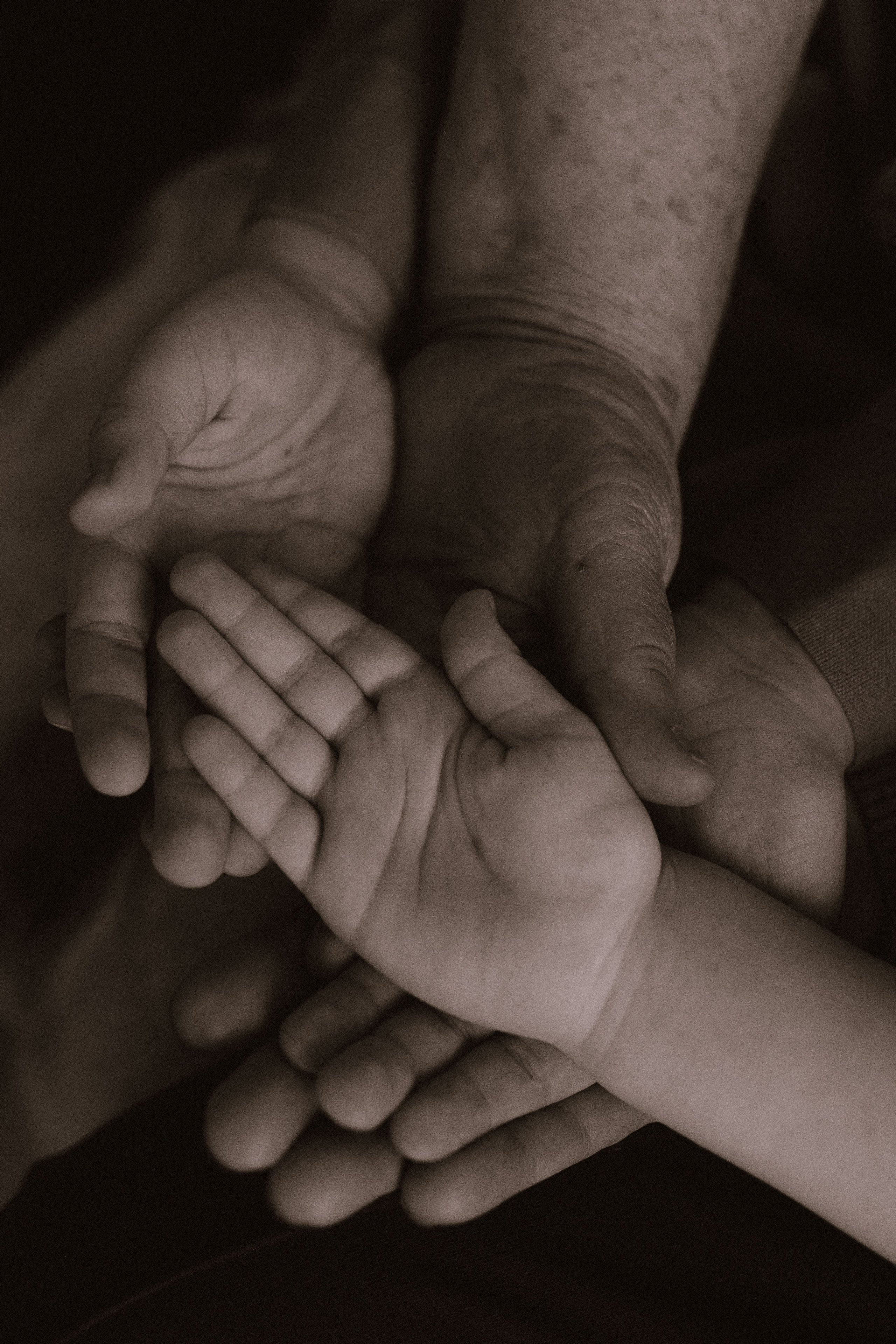 Поколение. Фотограф в Ставрополе Svetlana Matveeva