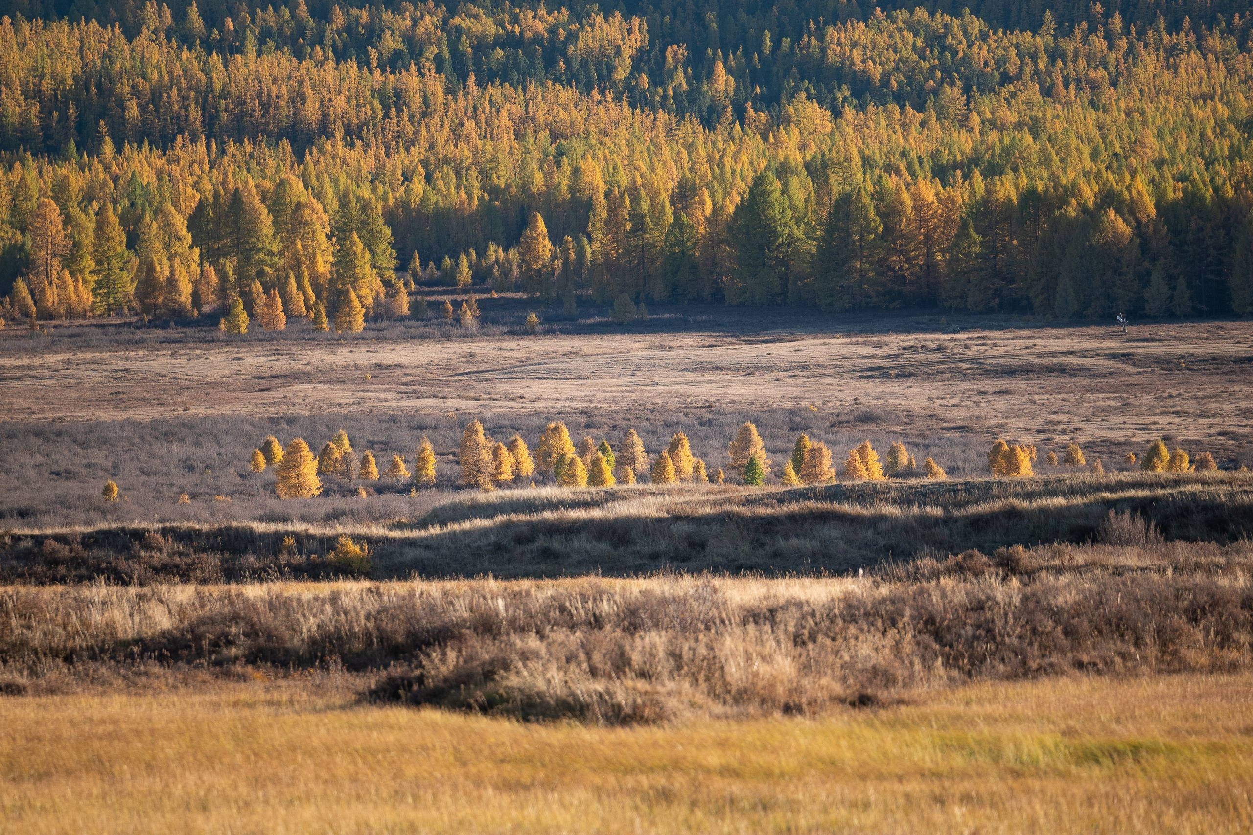 Горный Алтай. Фотограф Антон Денисенко: Портрет, Документалистика, Пейзаж. Москва