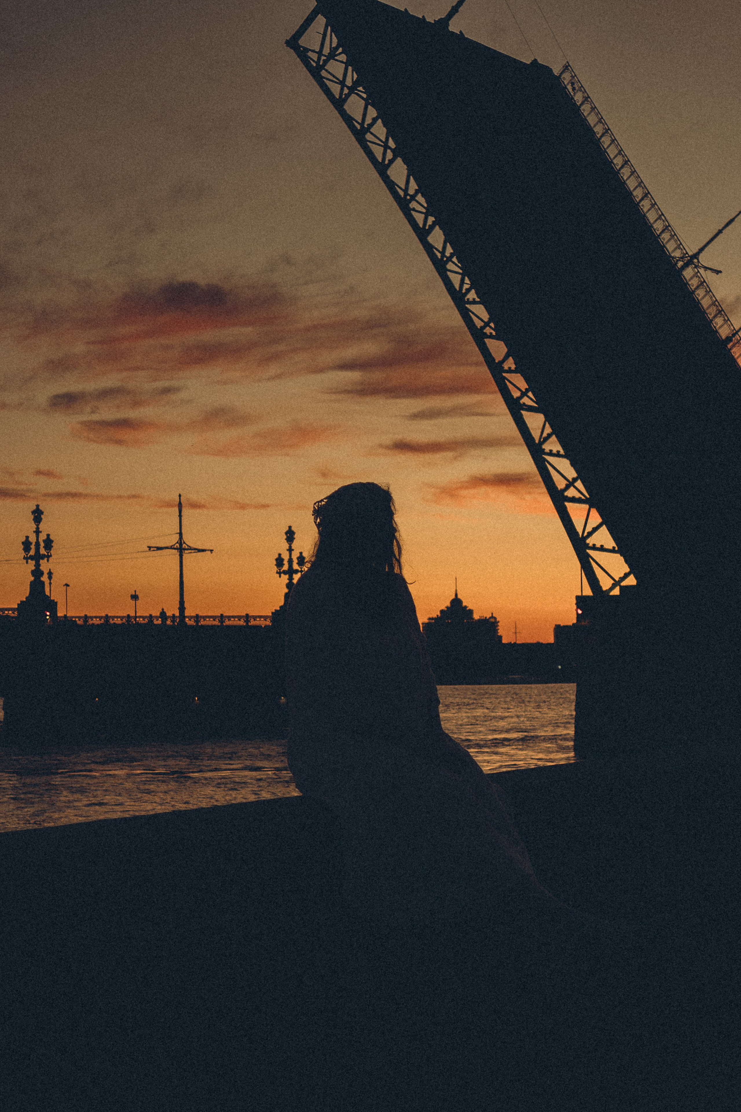 РАССВЕТ С РАЗВОДНЫМИ МОСТАМИ. Профессиональный фотограф, Санкт-Петербург — Виктория Богомолова