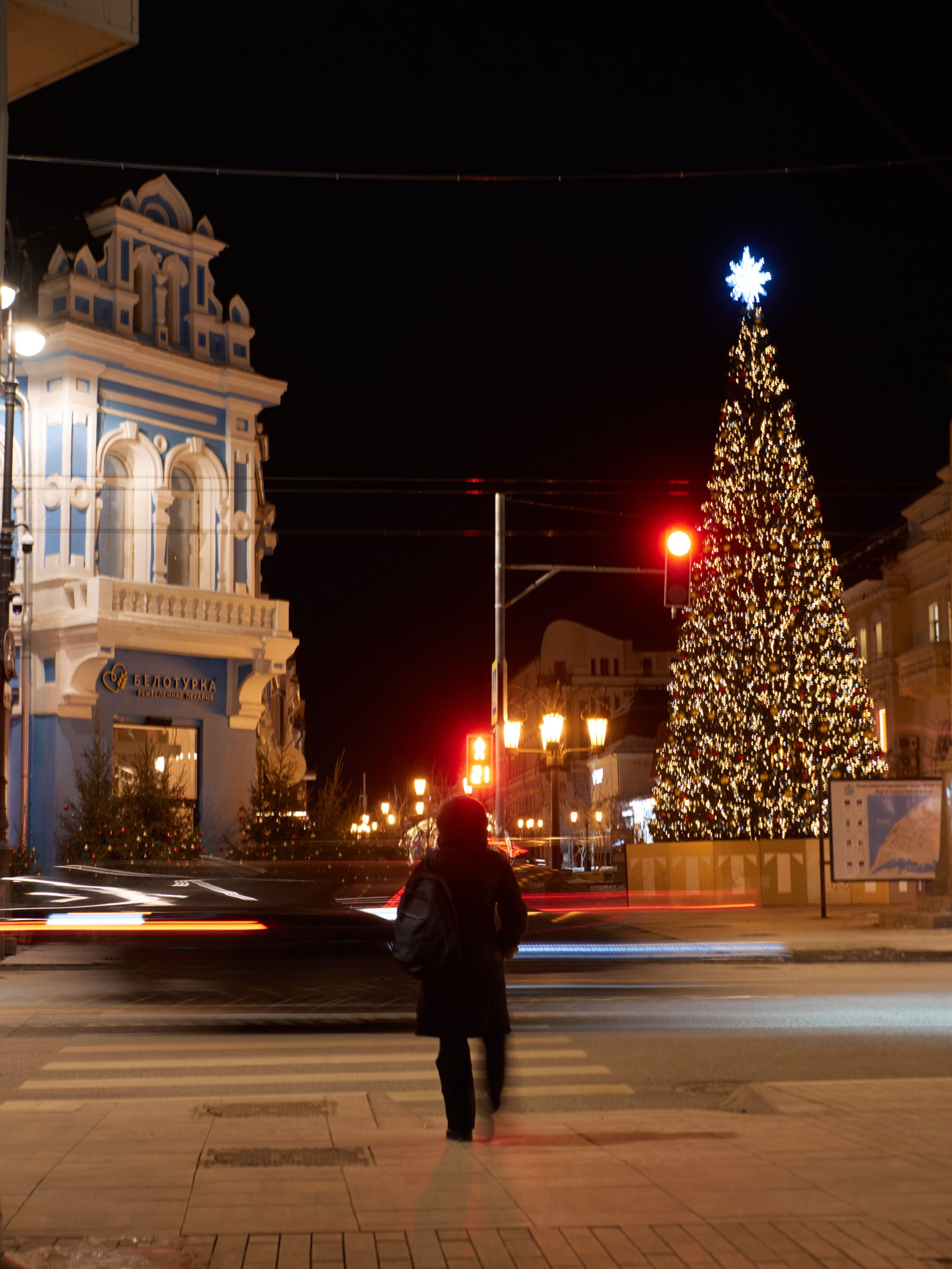 Елка и Белотурка на улице Ленинградской в Самаре