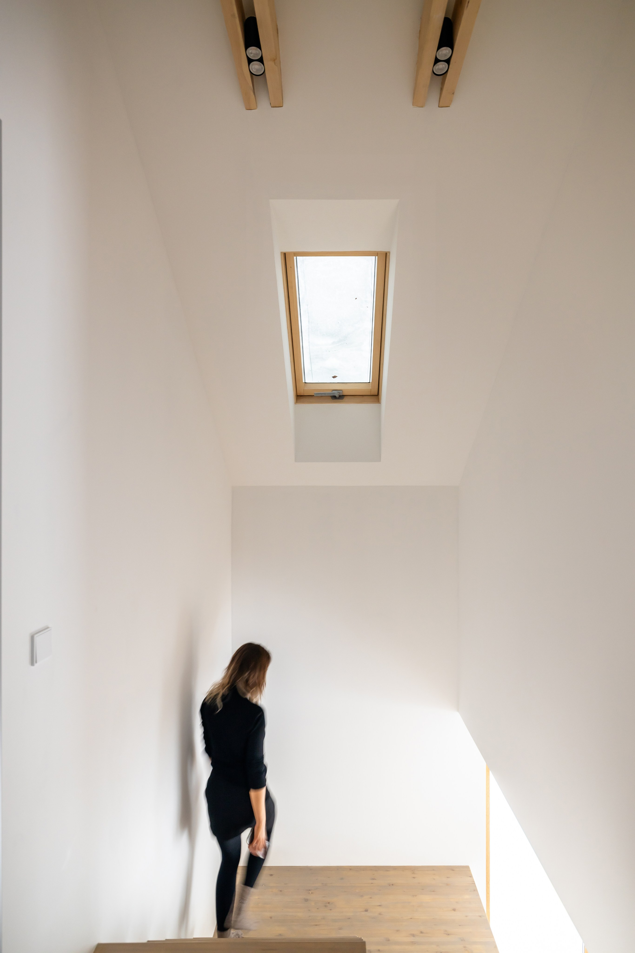 Барнхаус на берегу озера. Чугунова Анастасия. Дизайн интерьеров и архитектурное проектирование