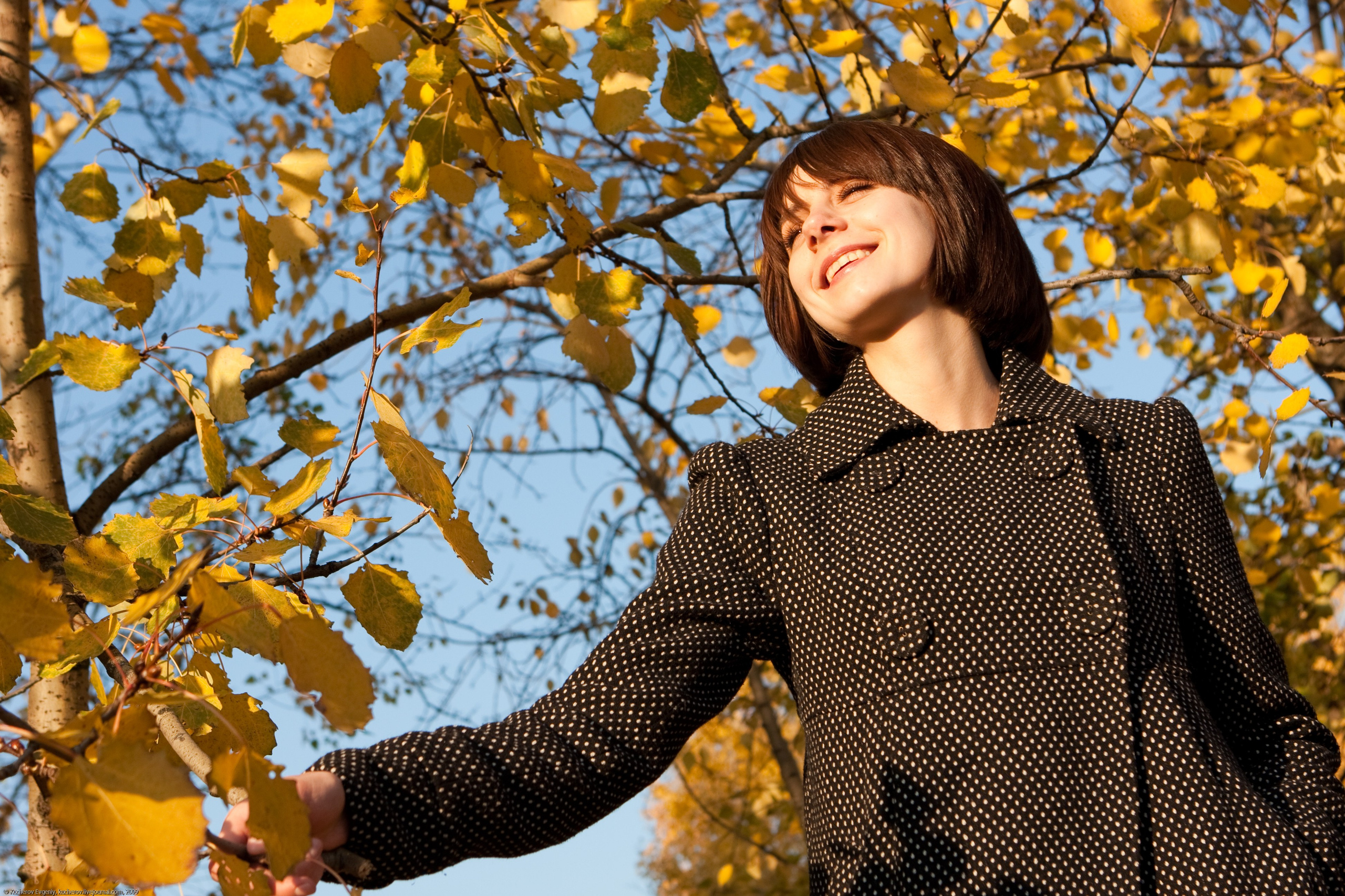Настя со скрипкой. Кучеров Евгений. Фотограф