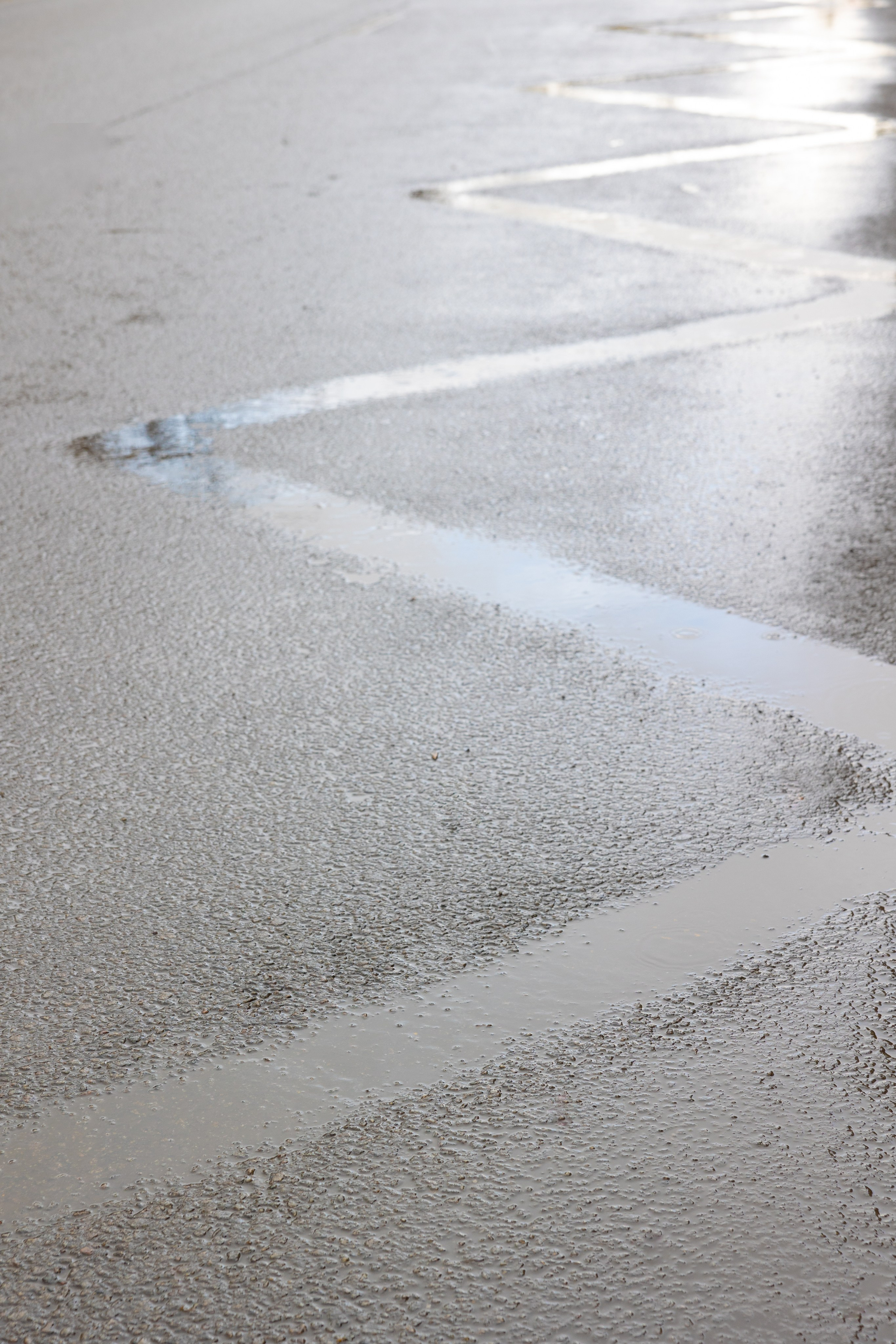 Art prints. Фотограф алина стерхова, алина стерхова фотограф, фотограф москва