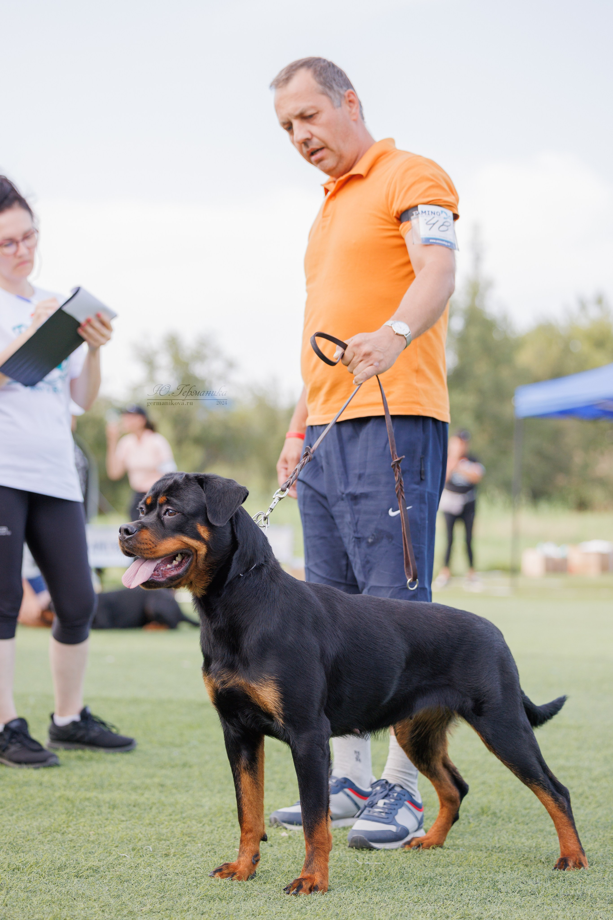 Анапа ротвейлеры 14-15.09.2024. Фотограф-анималист Юлия Германика