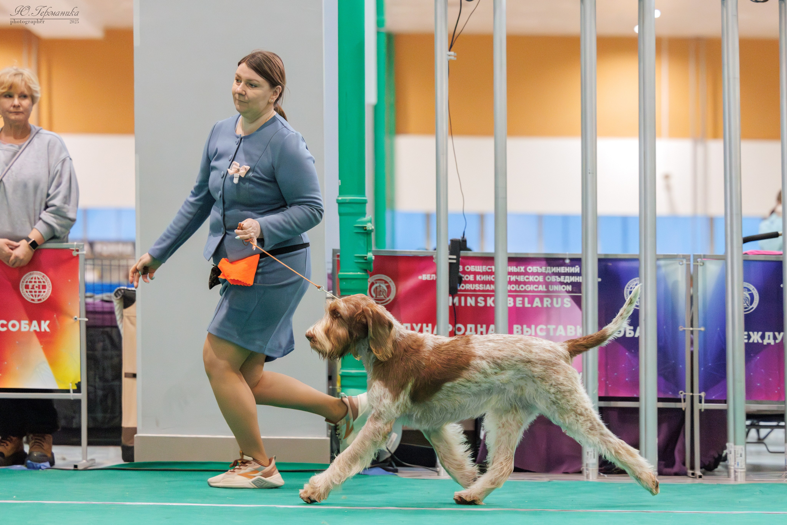 Минск 1-2.03.2025. Фотограф-анималист Юлия Германика