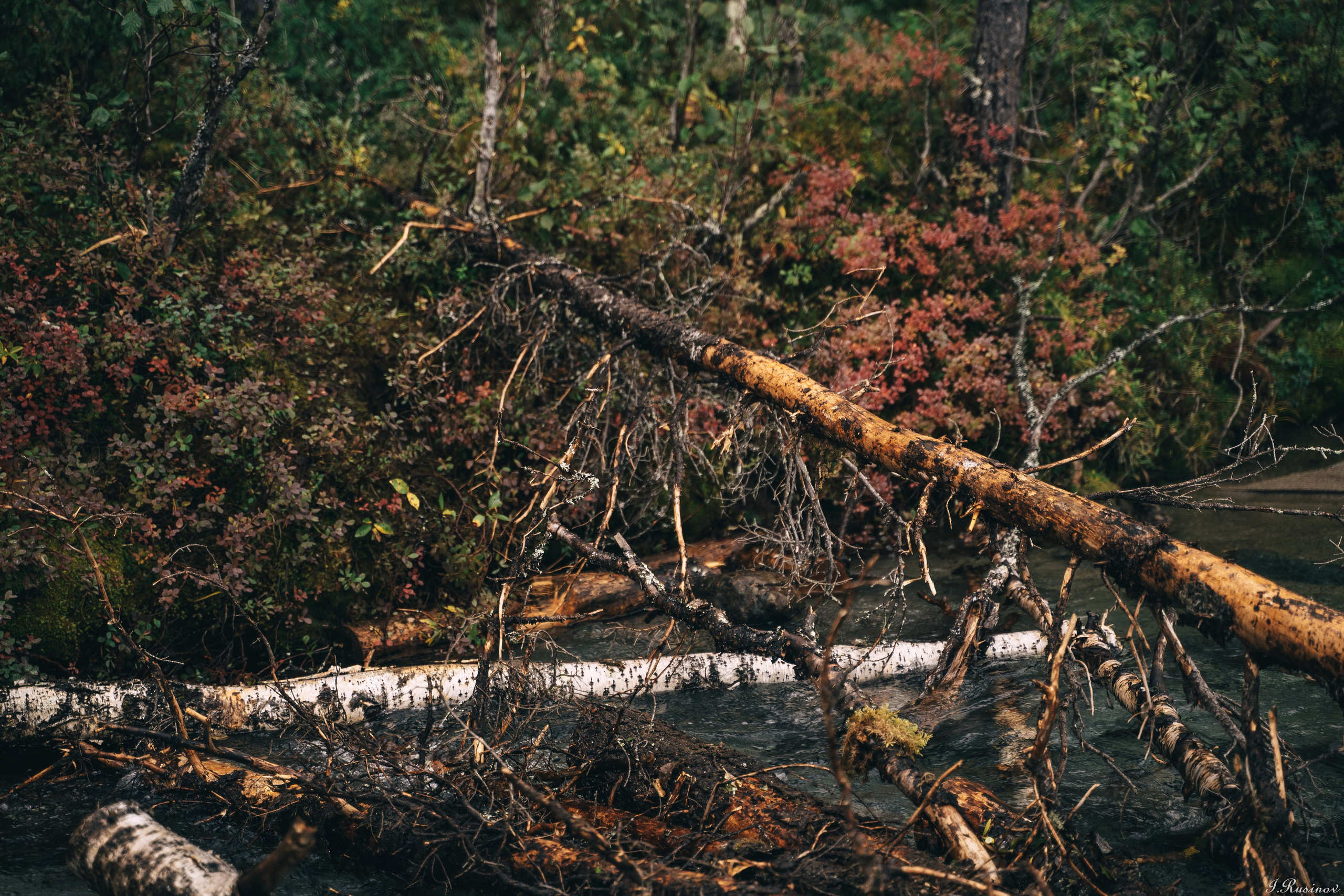 ХИБИНЫ 2021 г. Event фотограф Степанова Александра