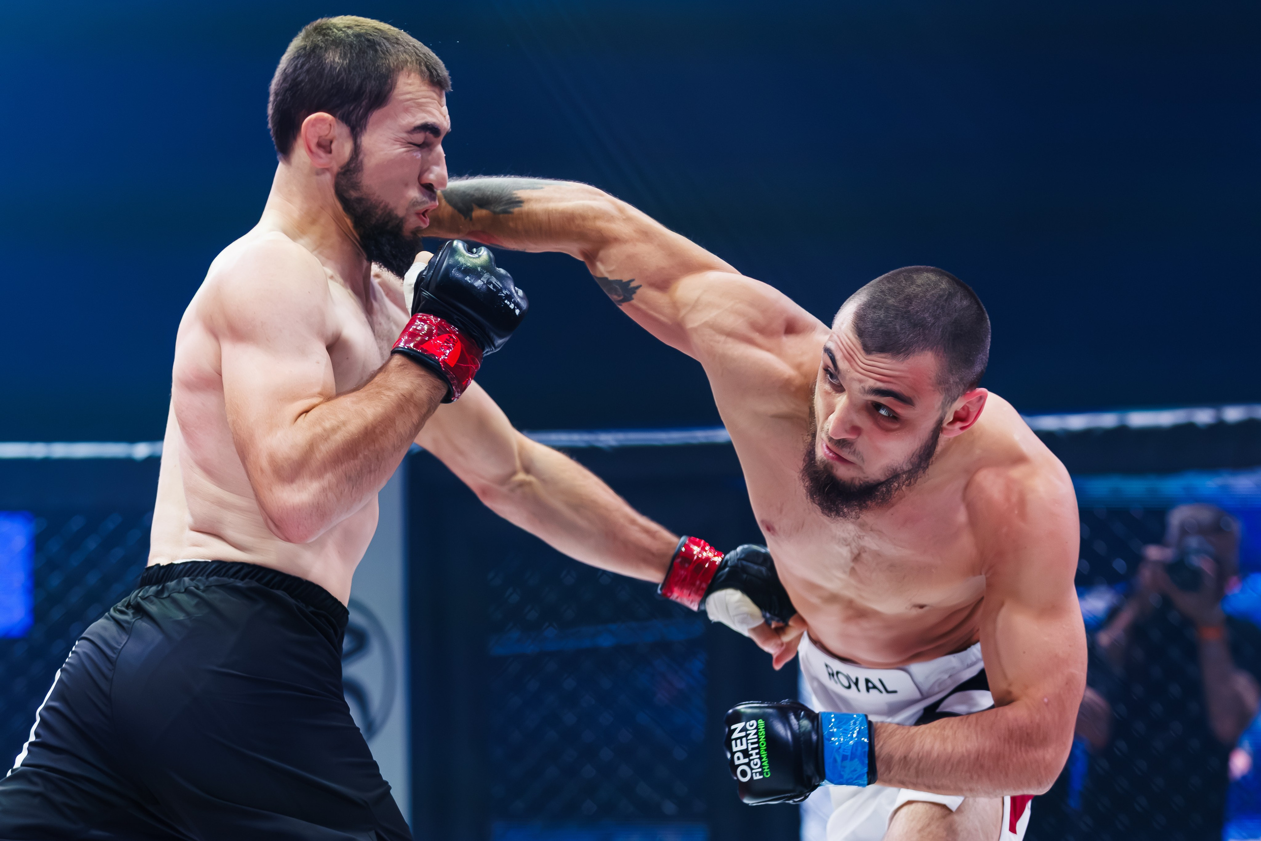 ММА. Спортивный фотограф Денис Веселов в Нижнем Новгороде