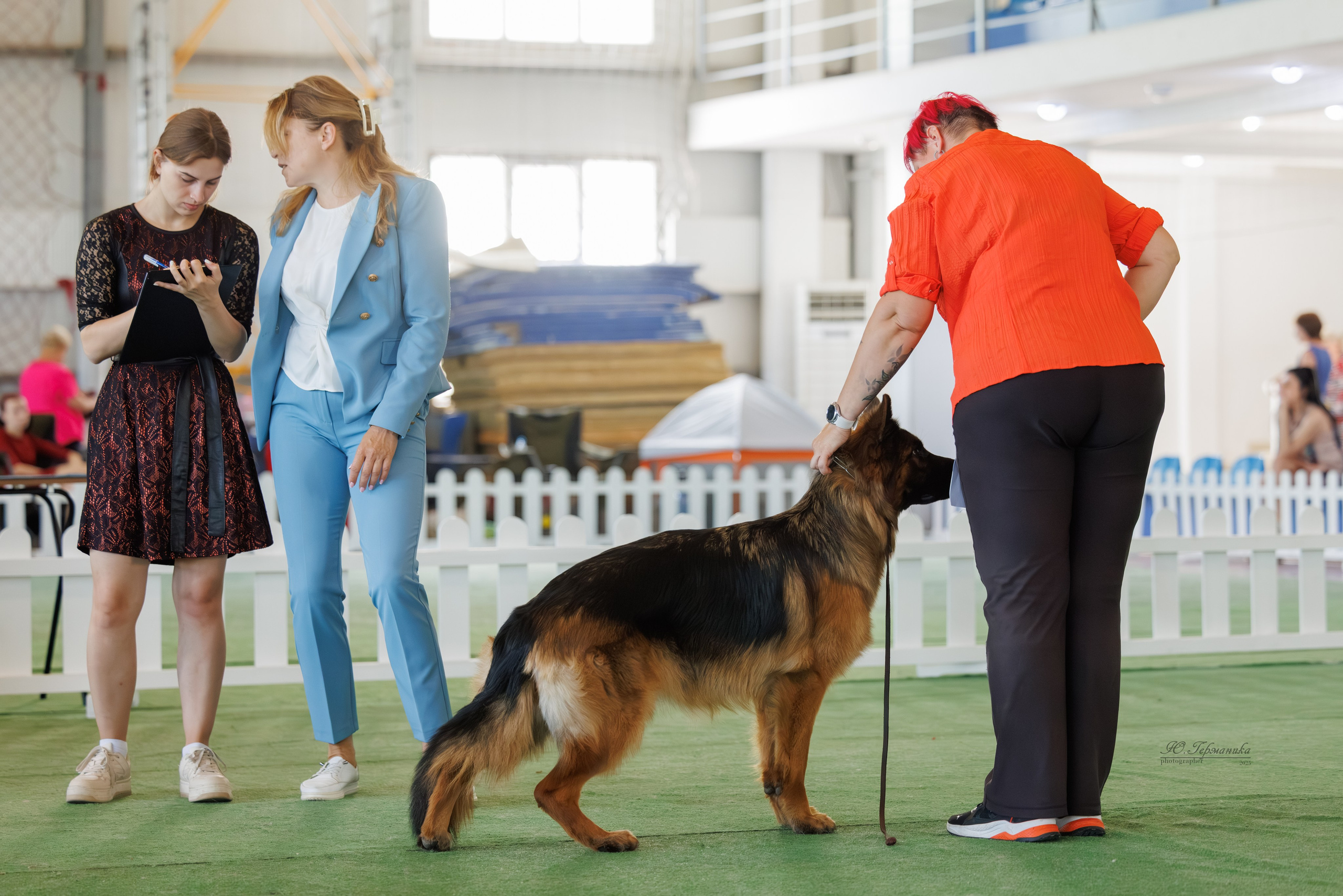 Батуми 3хCACIB 27-29.06.2025. Фотограф-анималист Юлия Германика