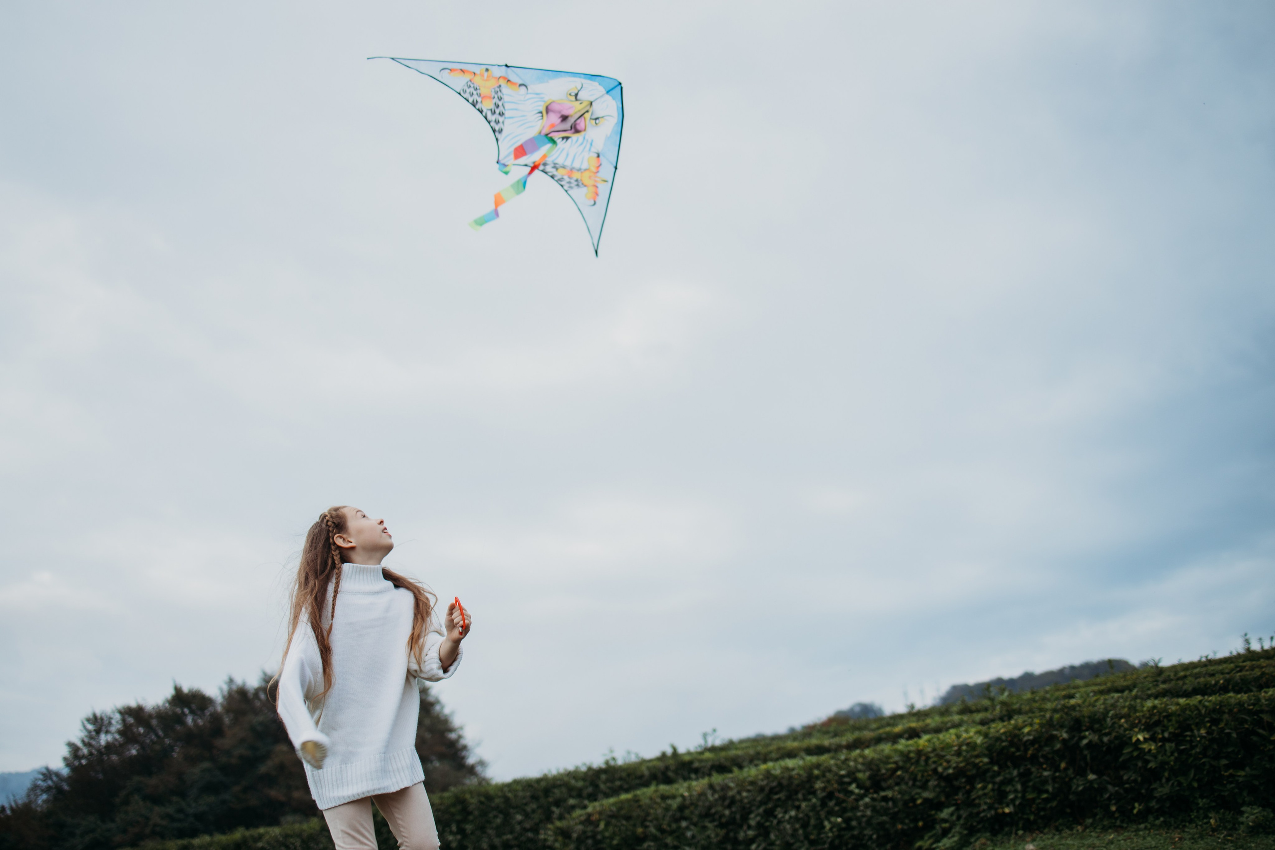 Чайные плантации мацеста. Фотограф Сочи Татьяна Зорина