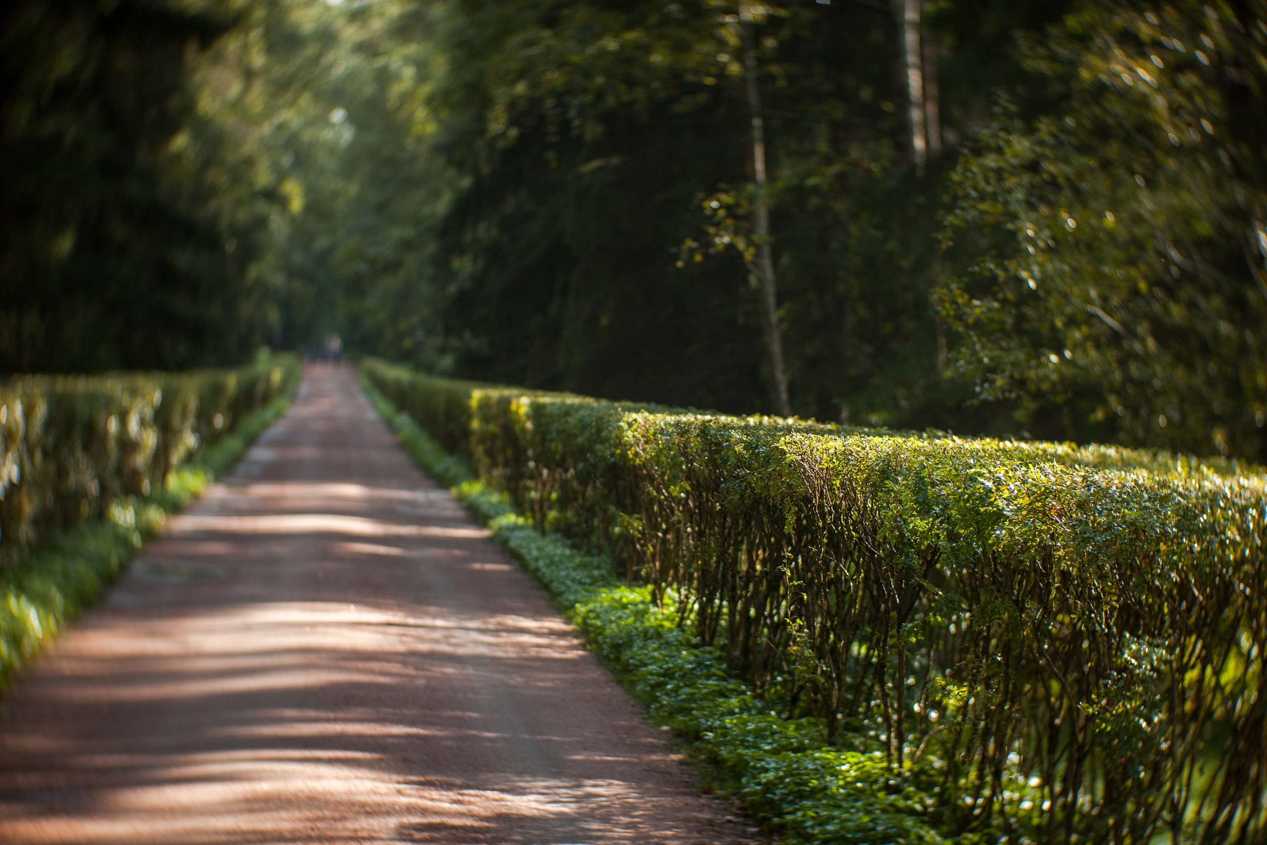 Ландшафтная фотография. Туманов Виталий — фотограф Москва