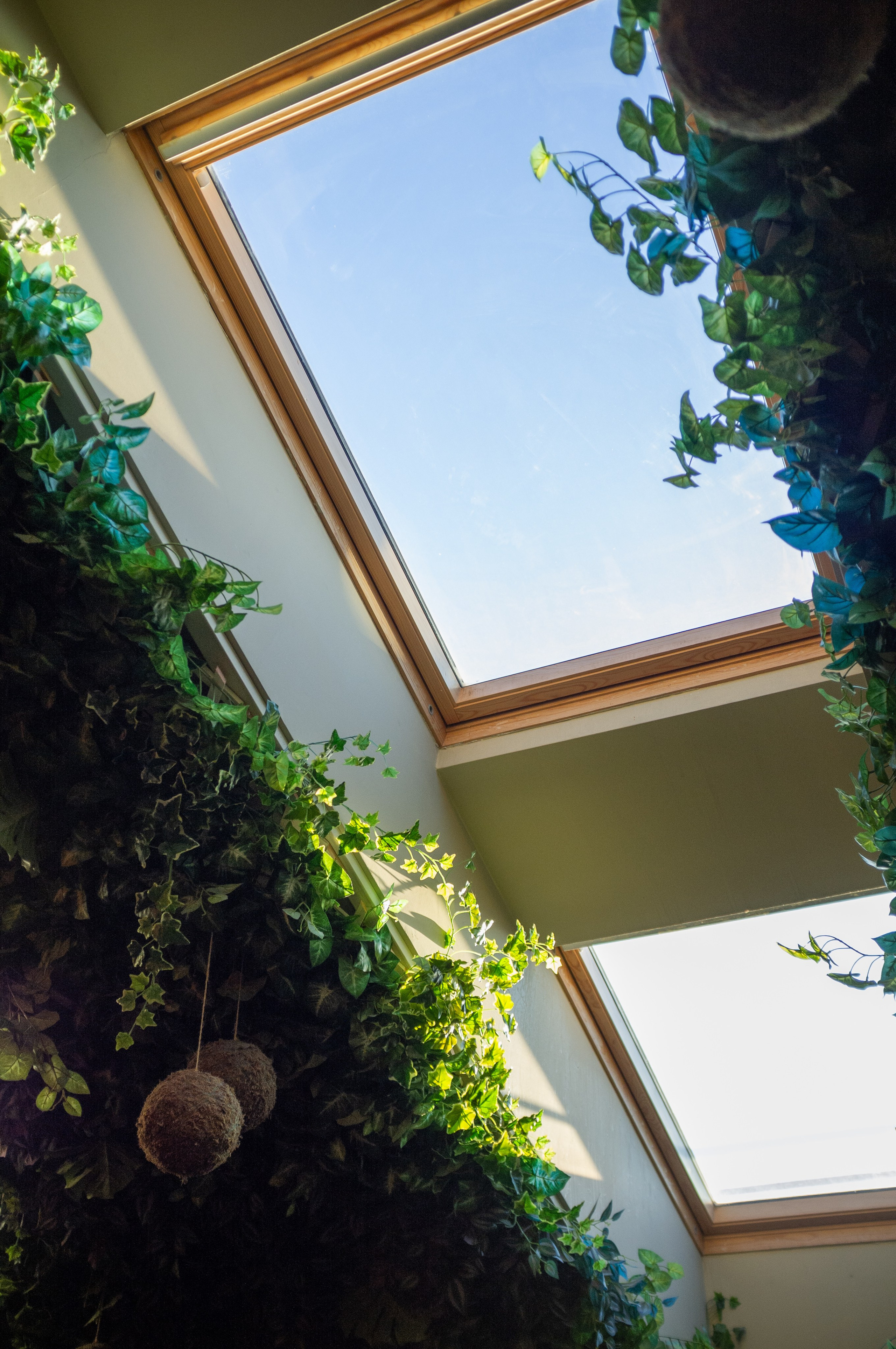 Джаз-клуб Kozlov club. Мансарда. Искусство фотографии. Мария Осокина