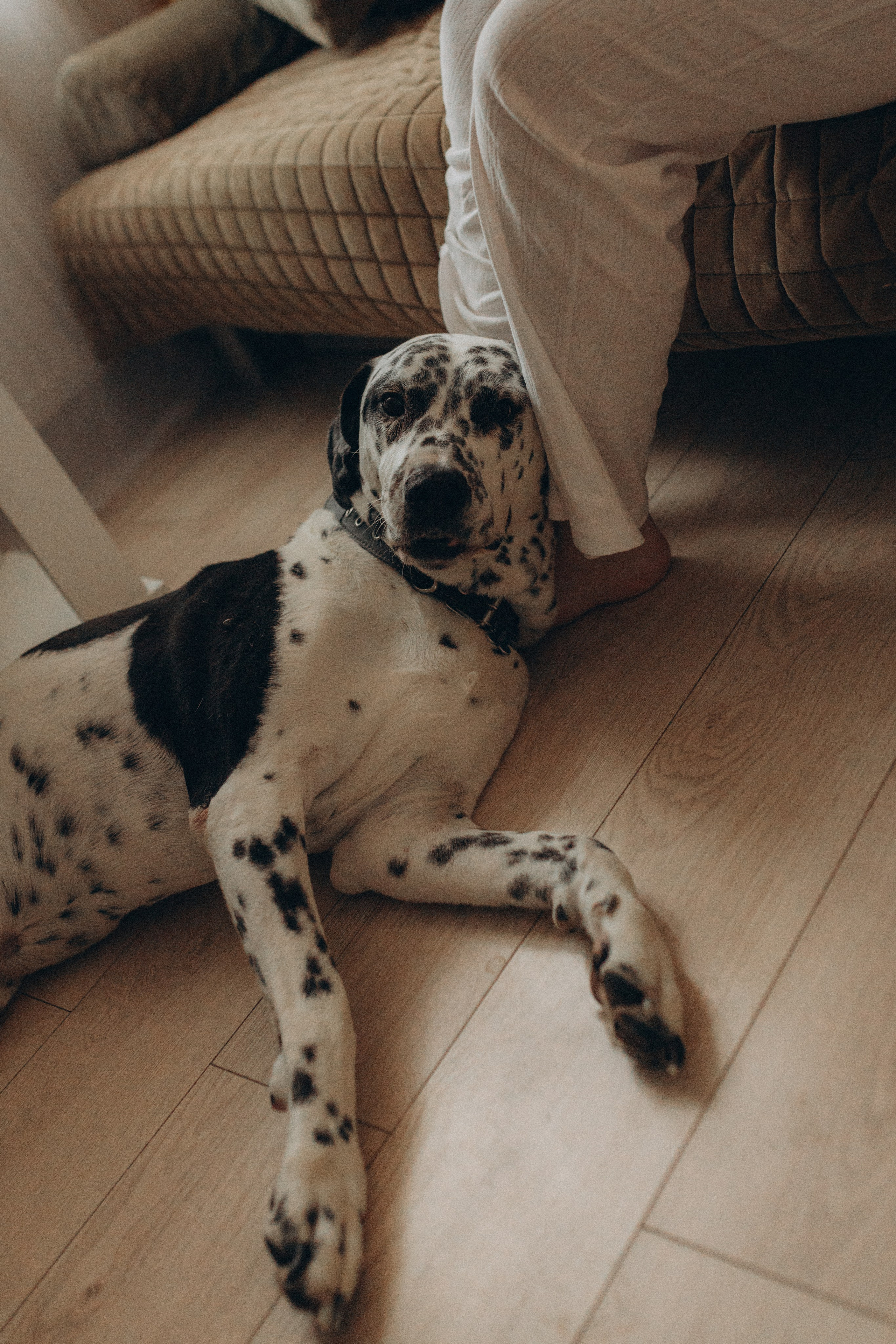 9. Семейный фотограф в Москве Жукова Анна