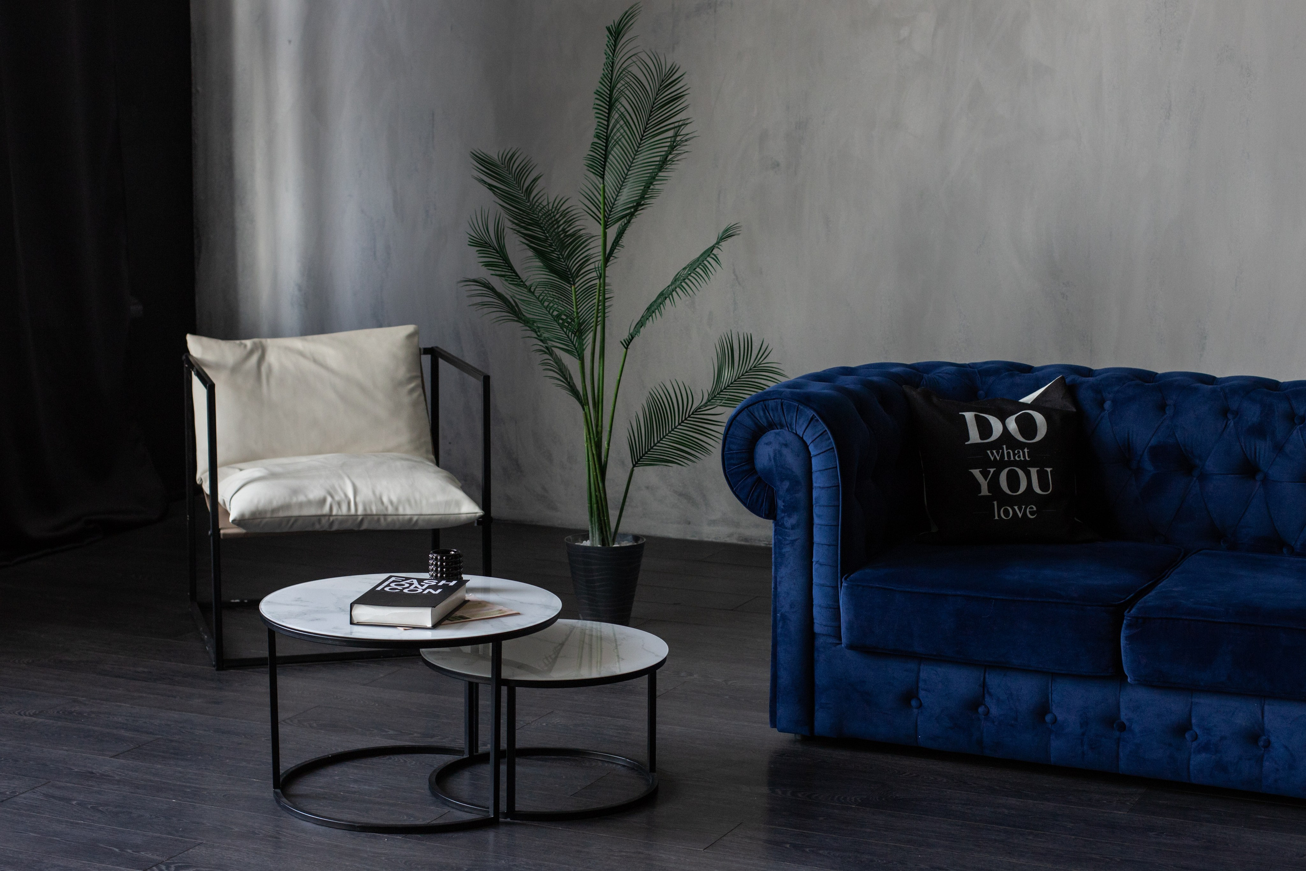 Честер (студия Зеркало). Фотограф г. Хабаровск. Семейные и индивидуальные съёмки