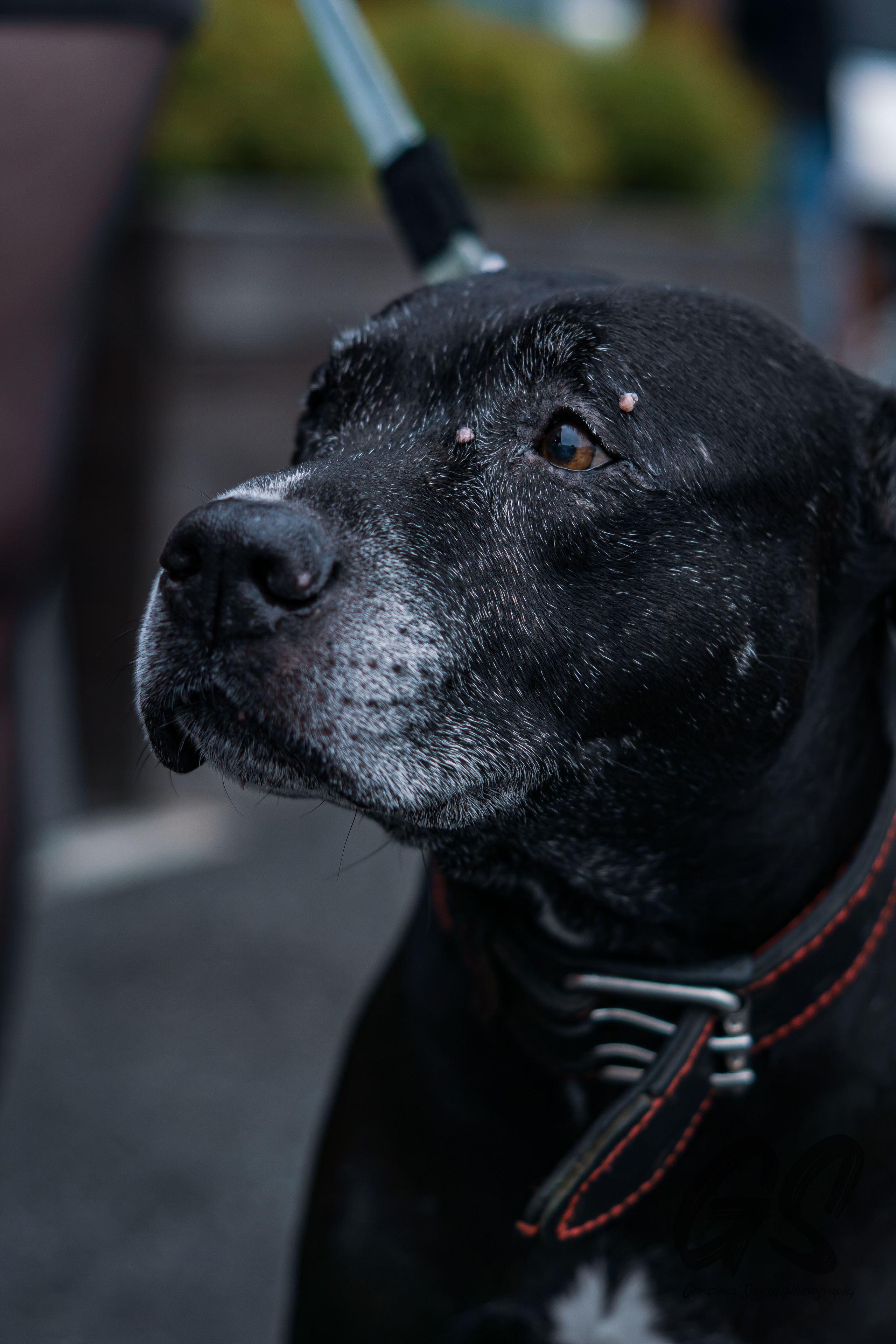 Мероприятия. GS.Media