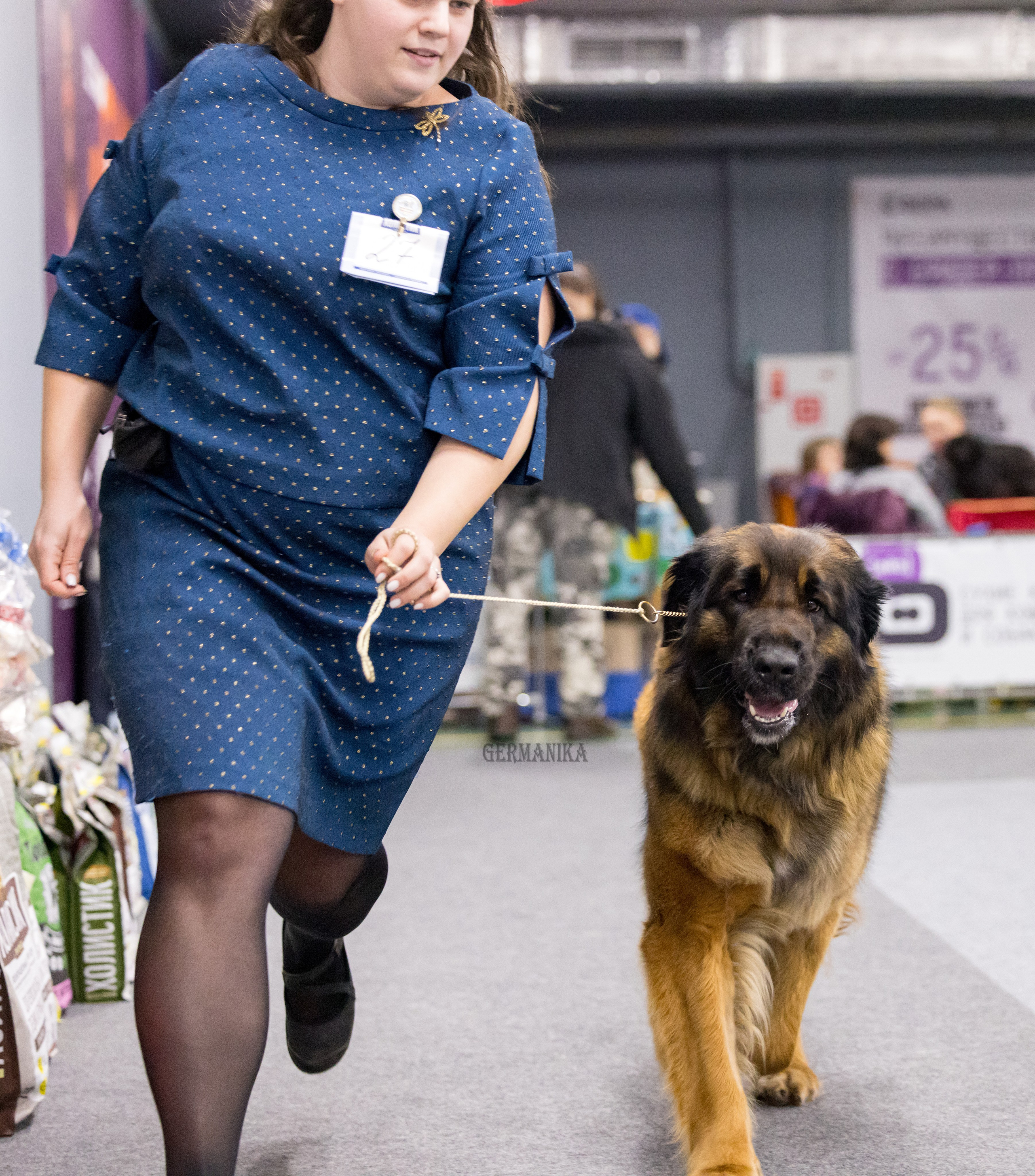 Сфера 28.01. и 4.02.2024. Фотограф-анималист Юлия Германика