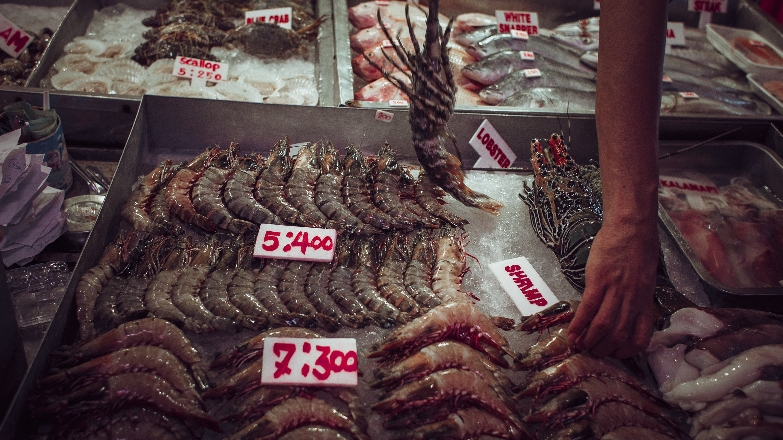 Множество. Ню Фотограф Александр Касымов Москва, фотосессии, Химки фотограф